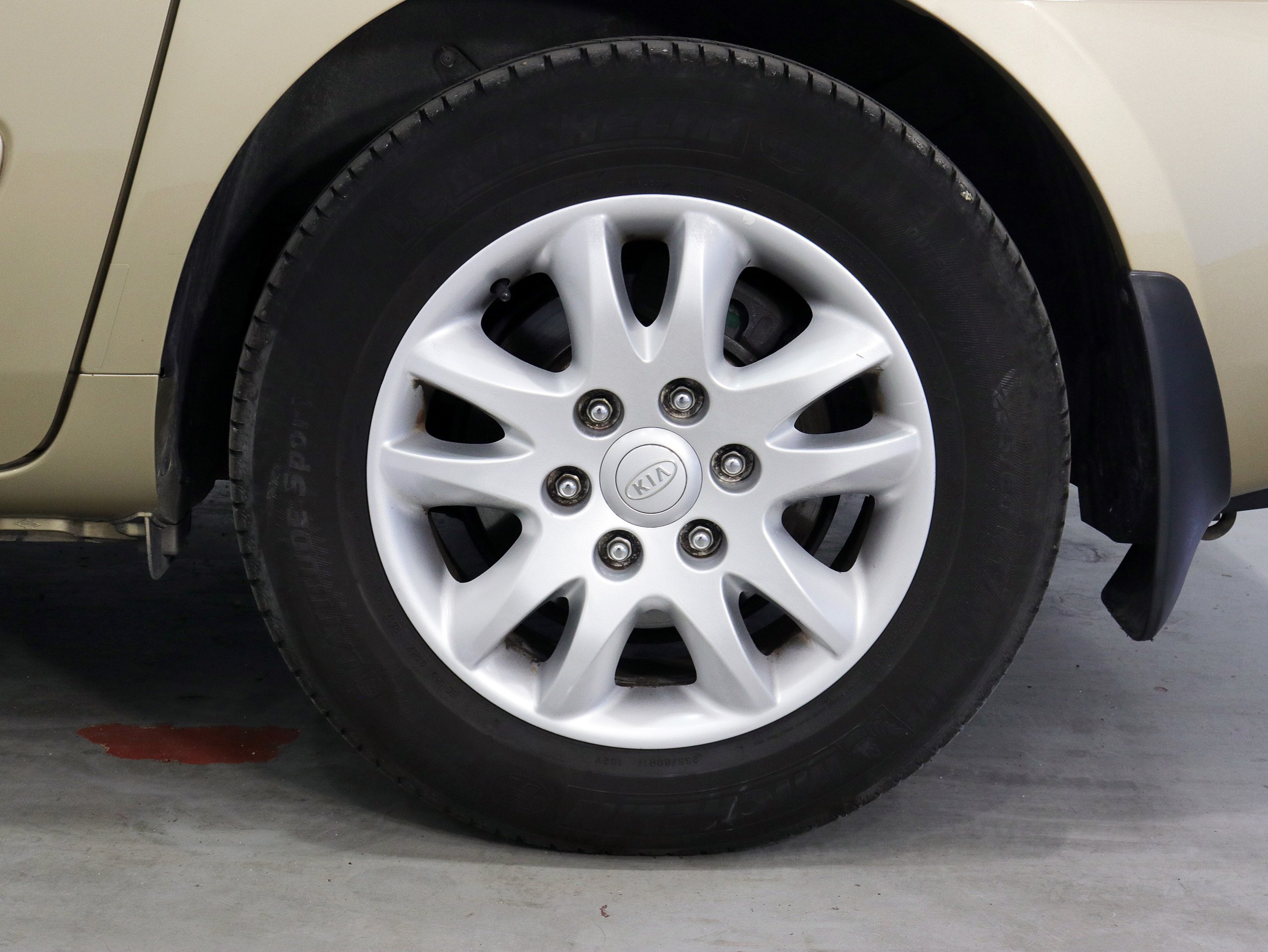 Foto Kia Carnival 35