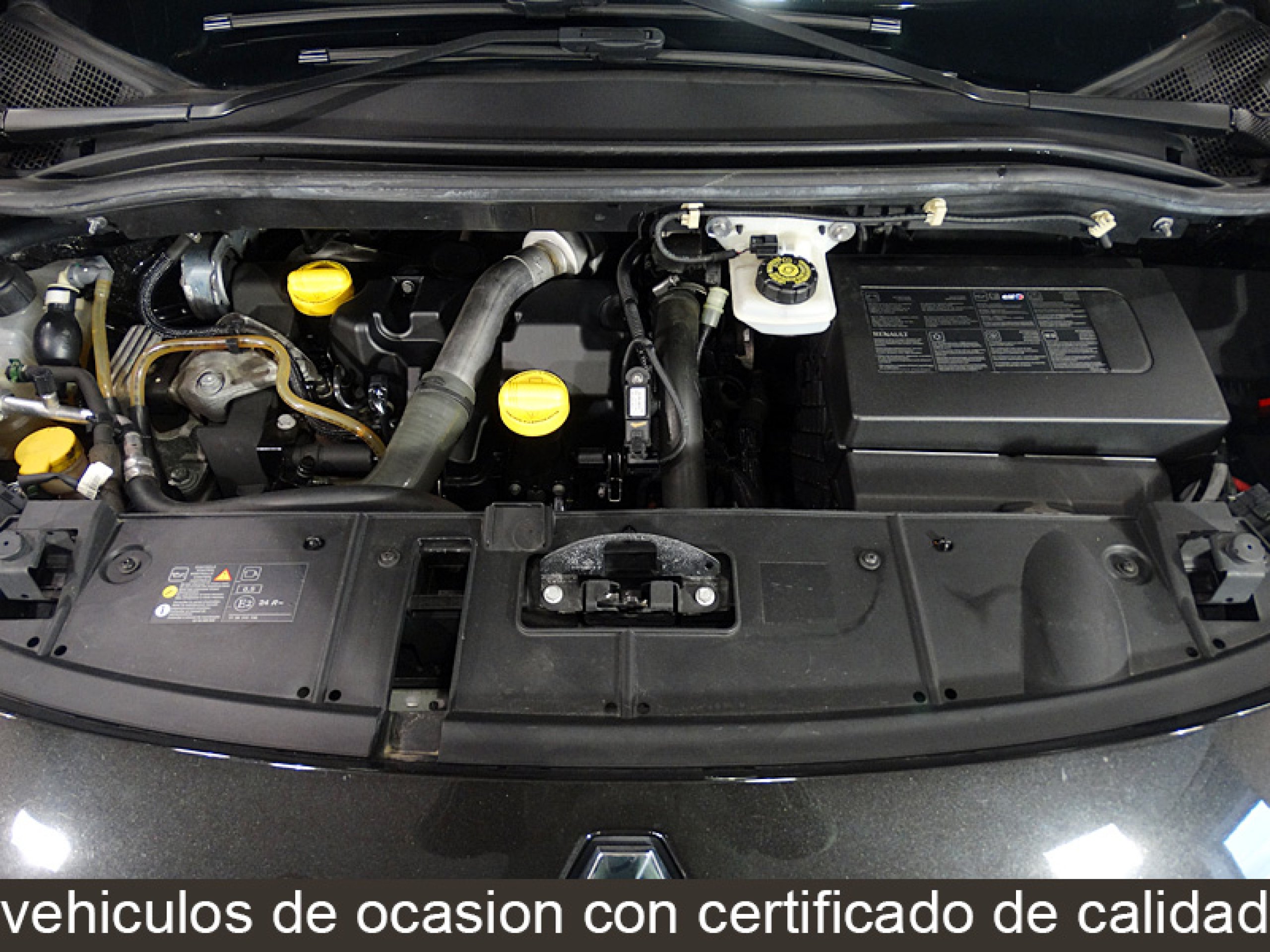 Foto Renault Scenic 8