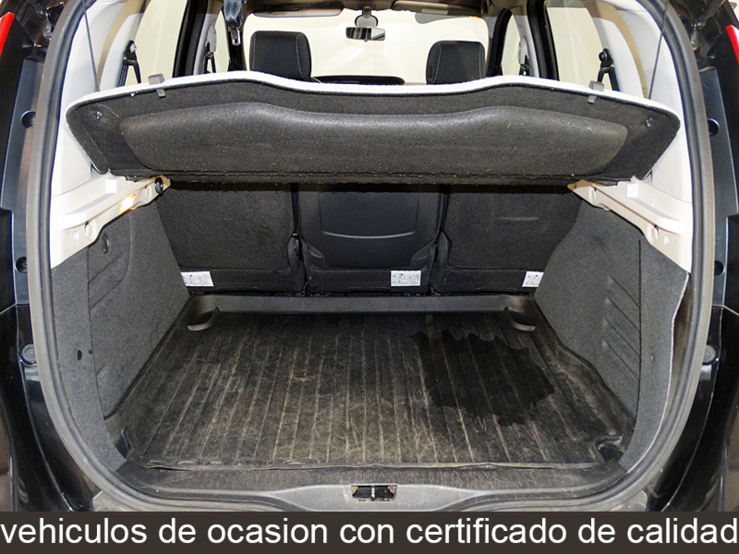 Foto Renault Scenic 9