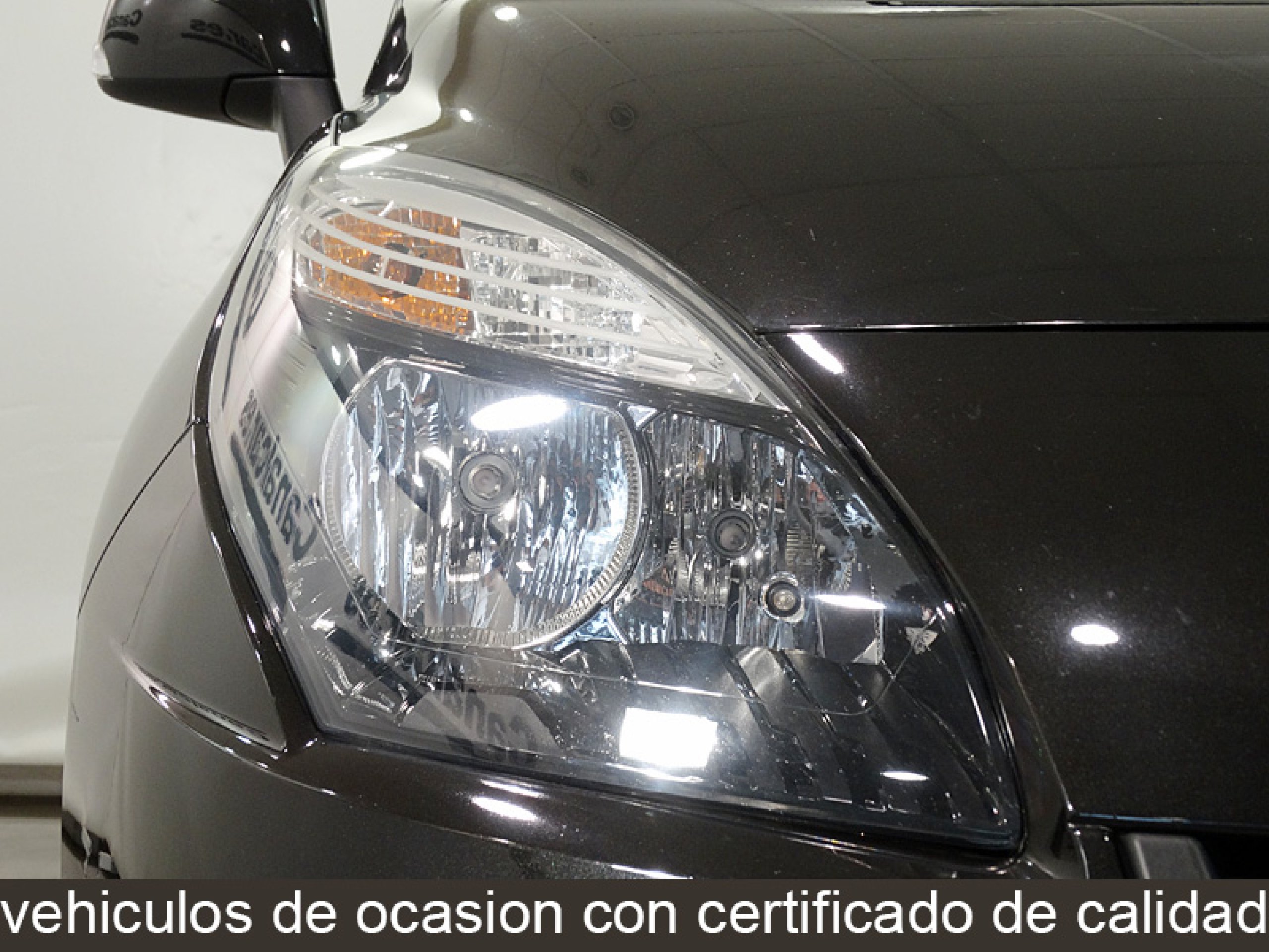 Foto Renault Scenic 12