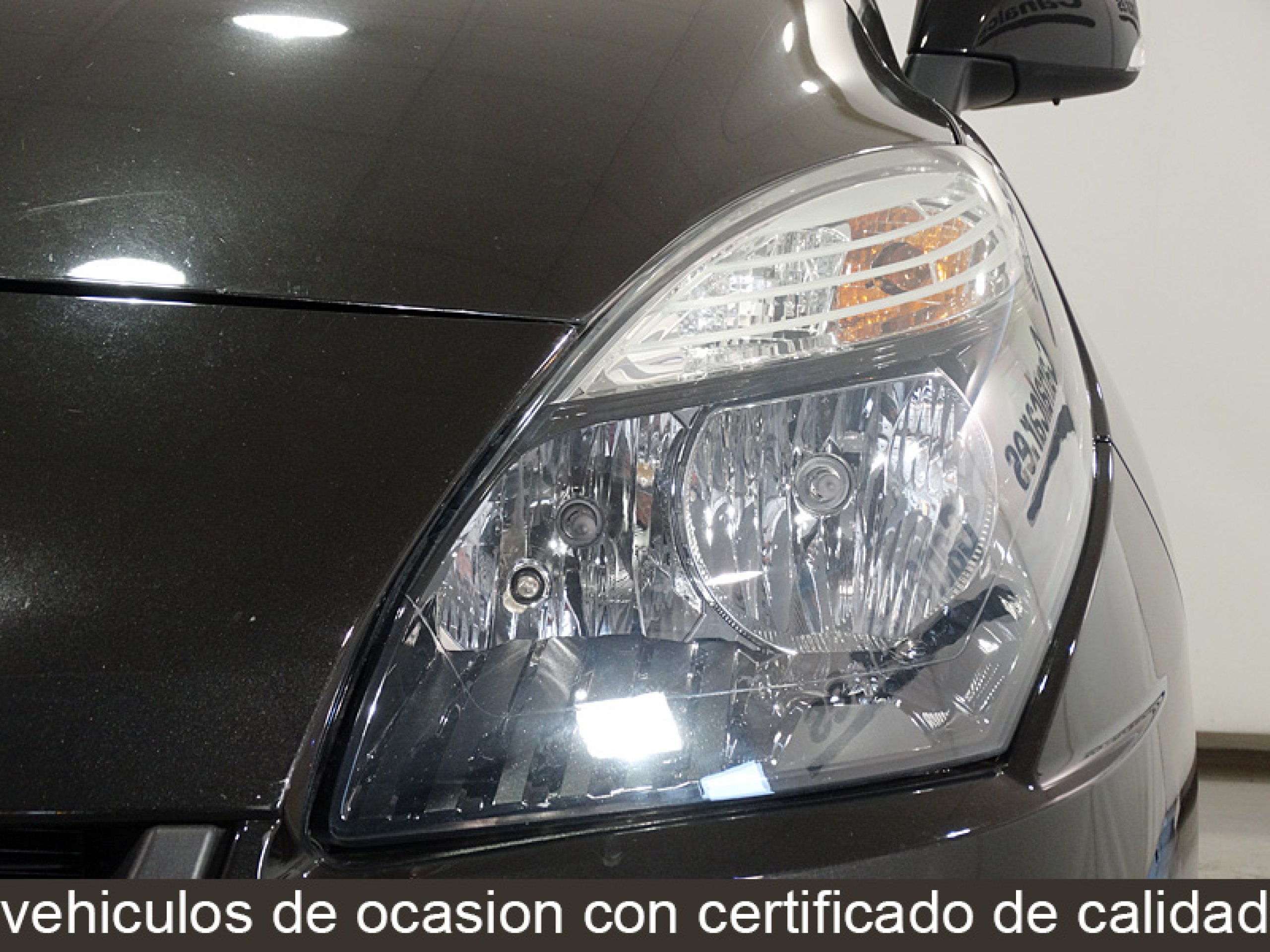 Foto Renault Scenic 13