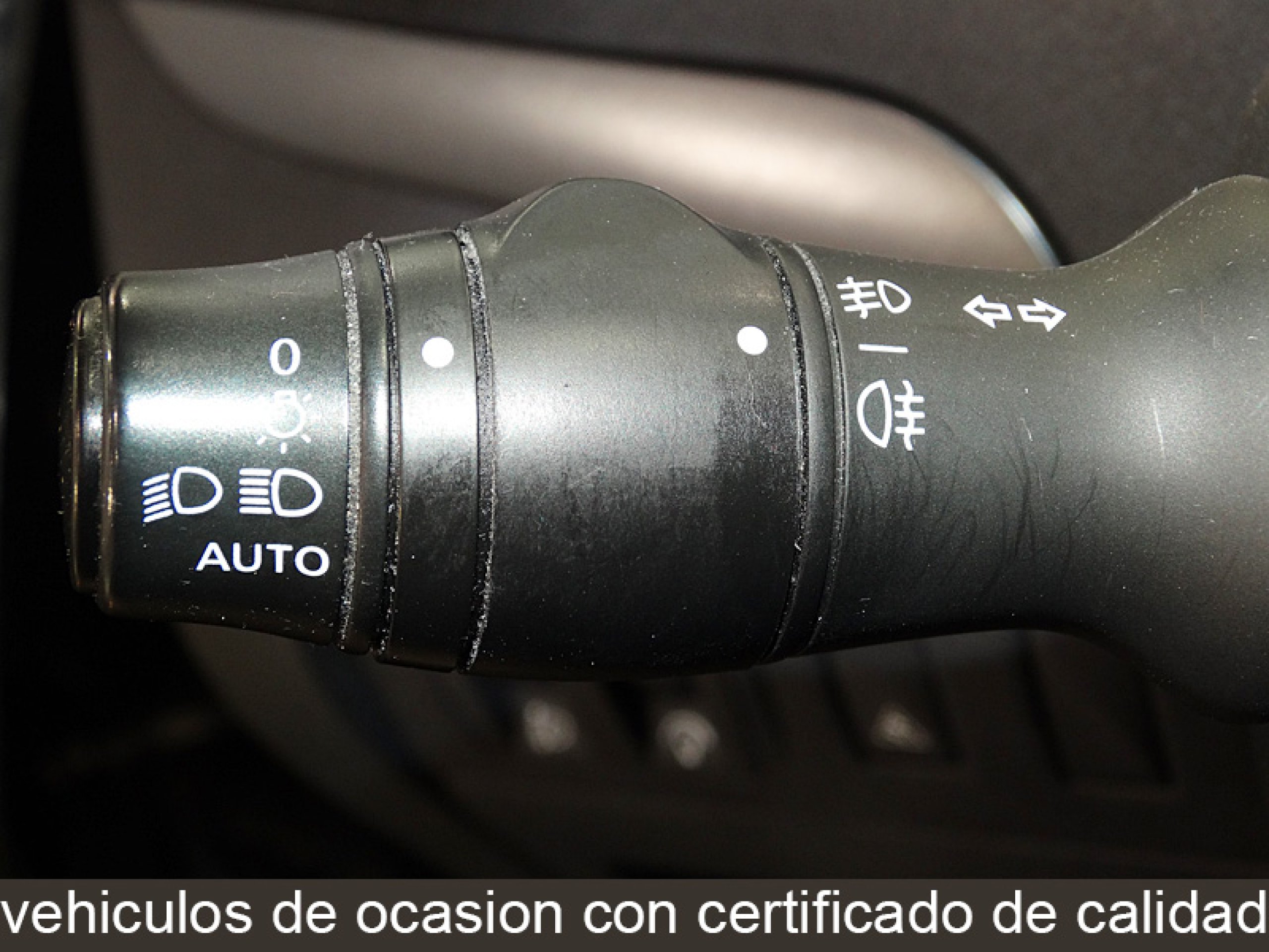 Foto Renault Scenic 24