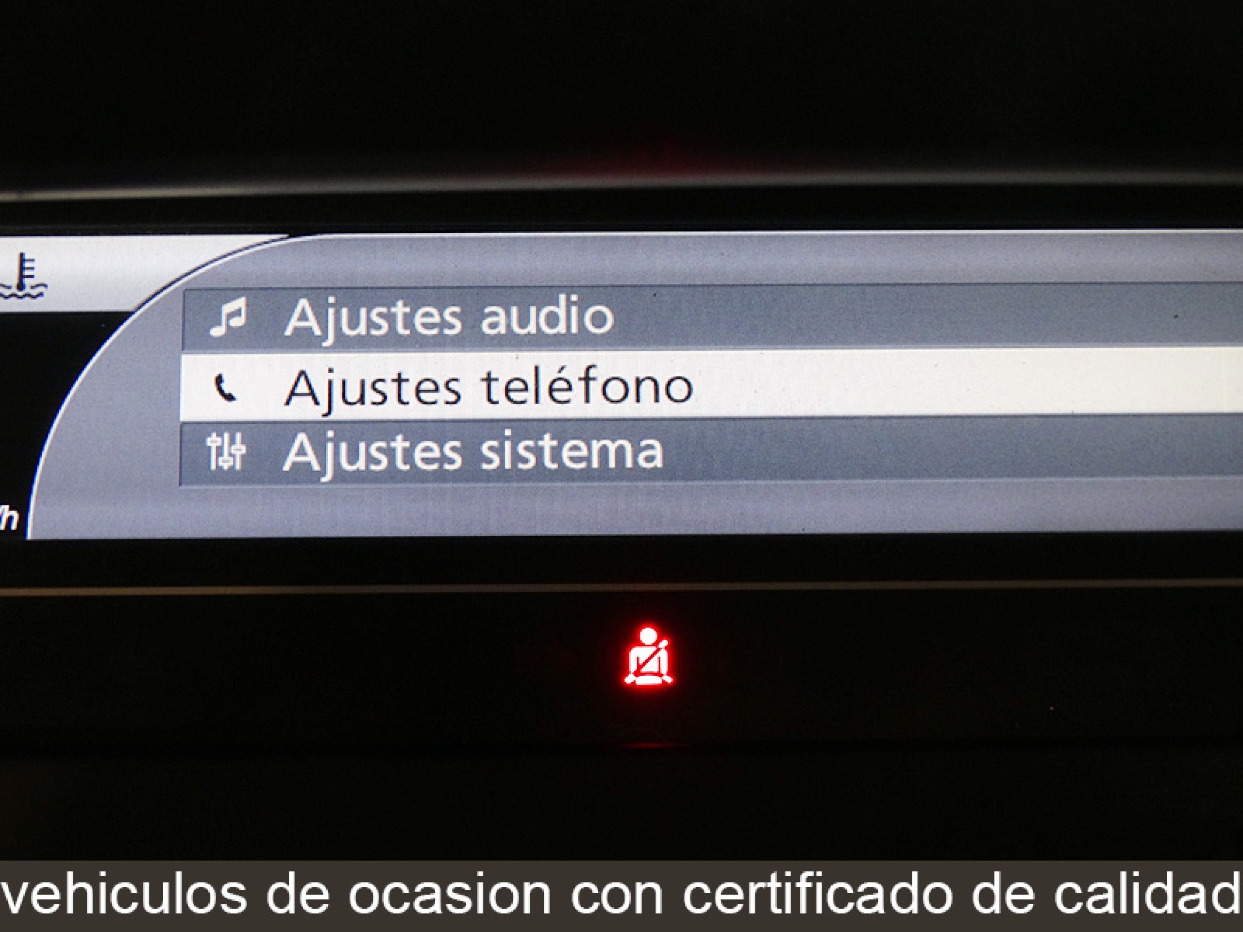 Foto Renault Scenic 27