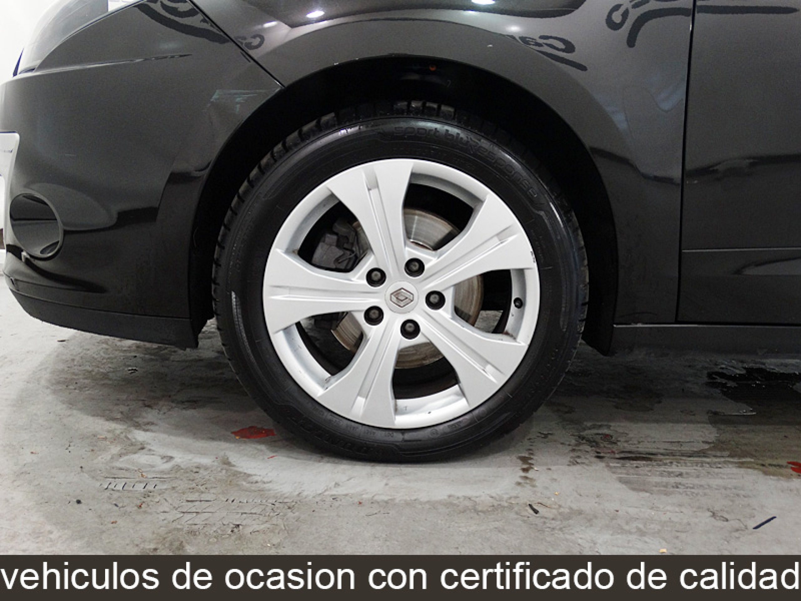 Foto Renault Scenic 28