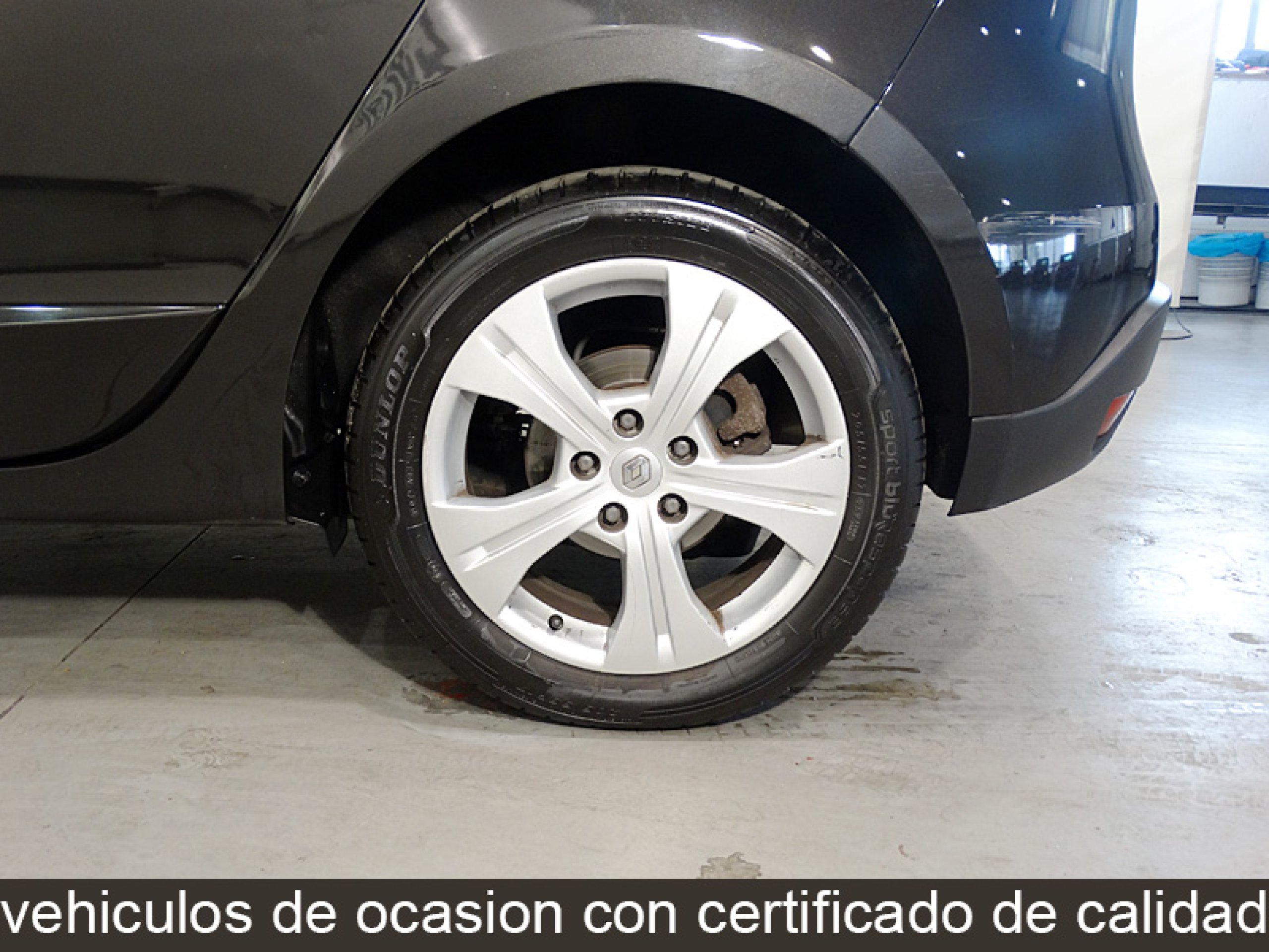 Foto Renault Scenic 29