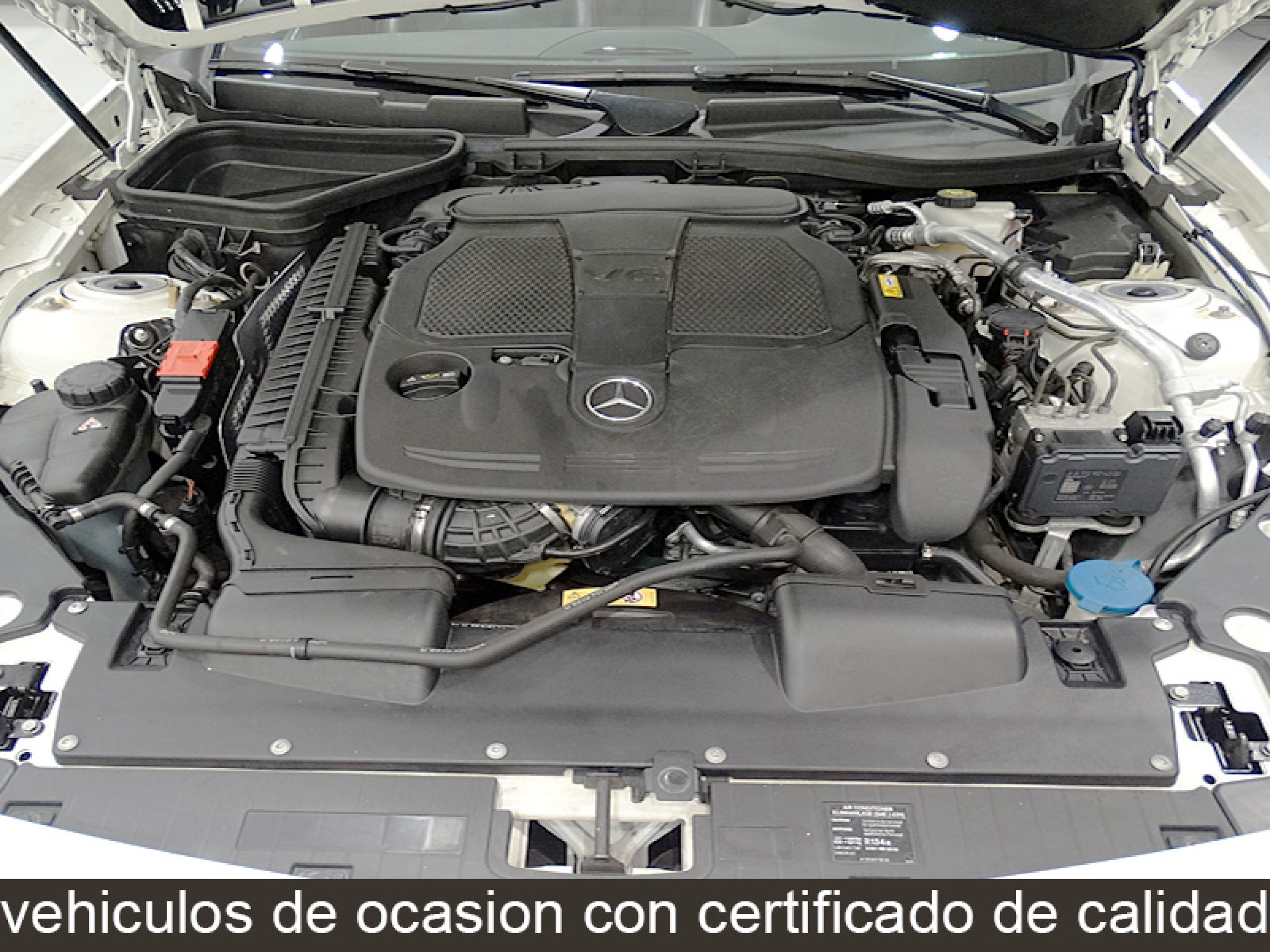 Foto Mercedes-Benz SLK 350 19