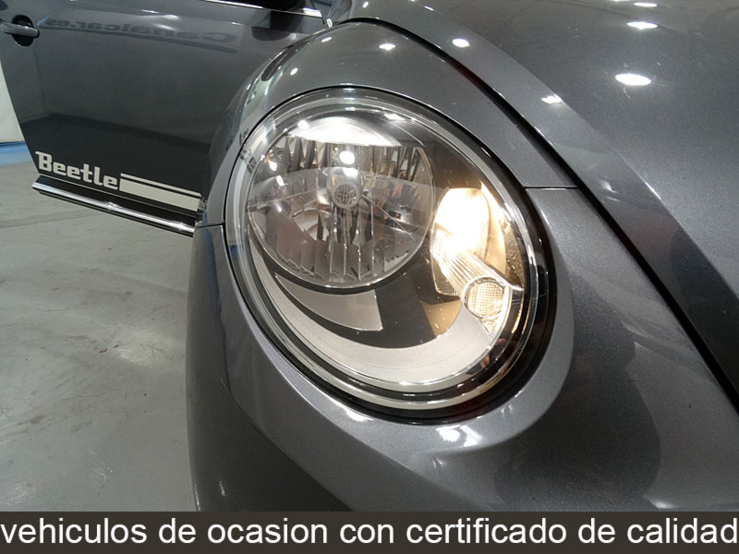 Foto Volkswagen Beetle 11