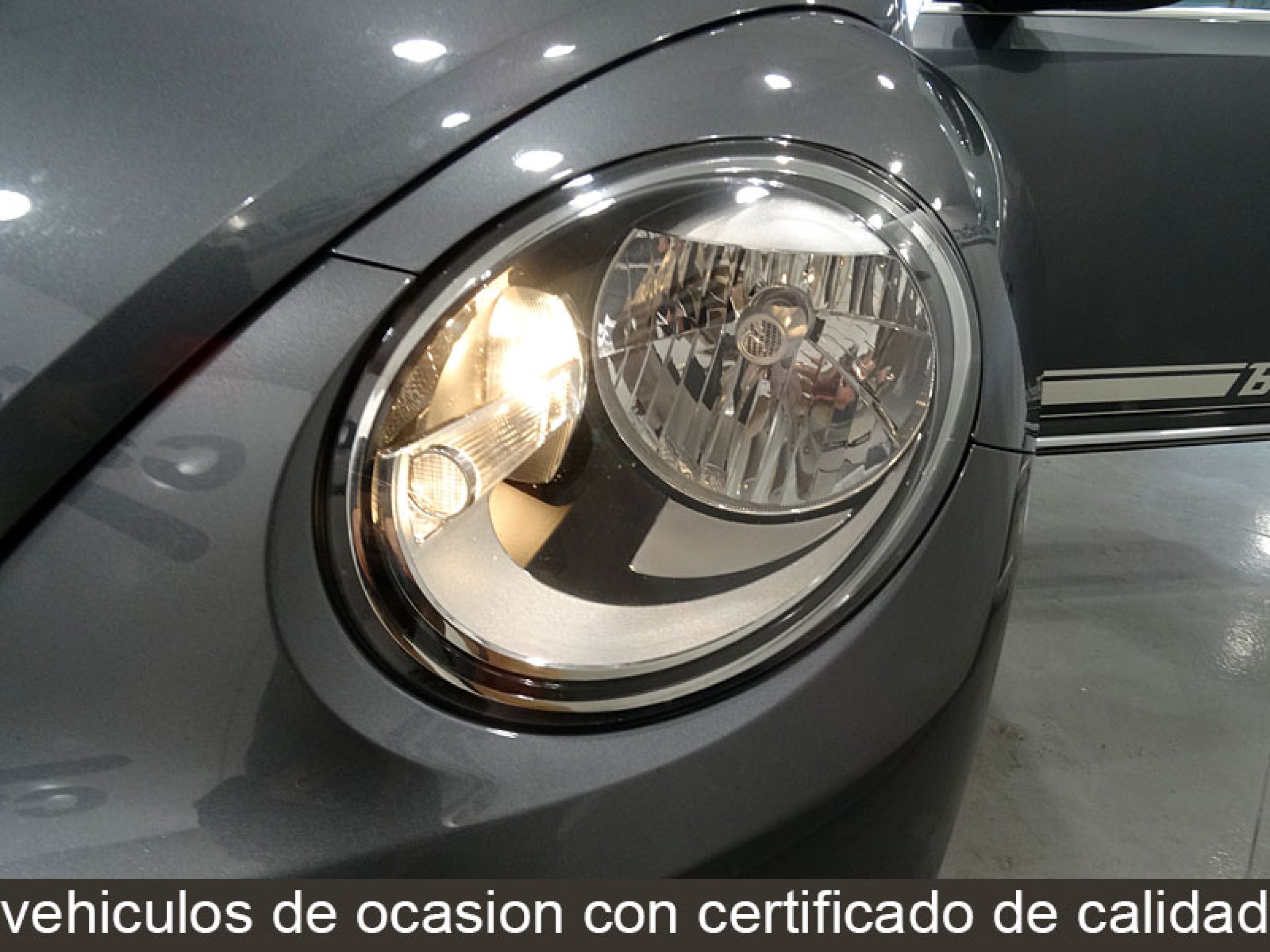 Foto Volkswagen Beetle 12