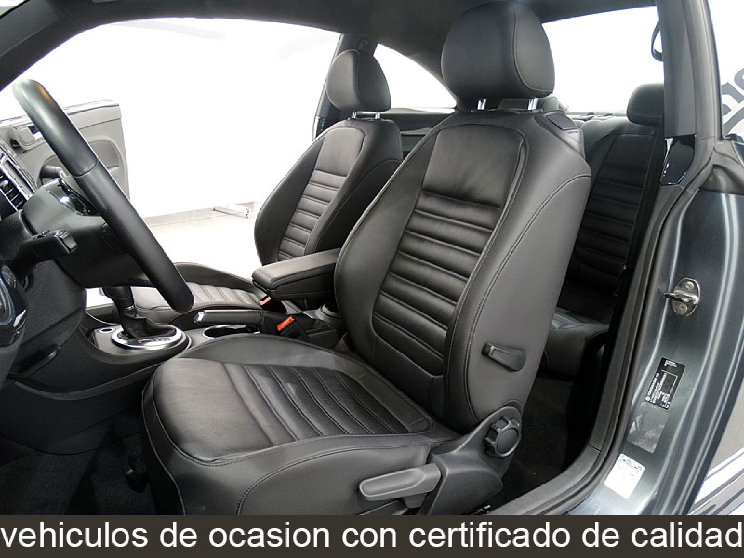 Foto Volkswagen Beetle 16