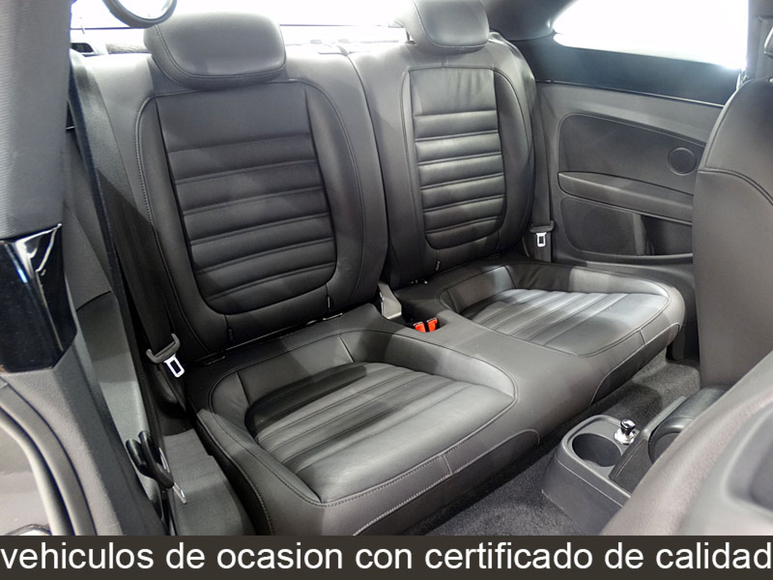 Foto Volkswagen Beetle 18