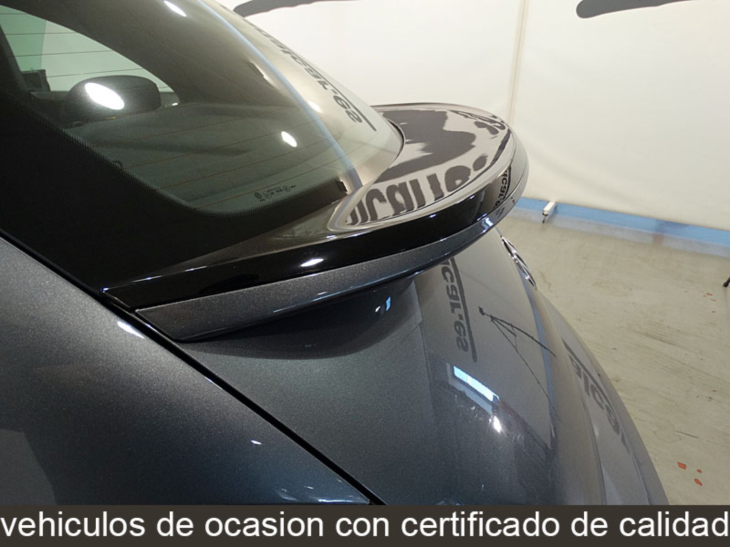 Foto Volkswagen Beetle 32