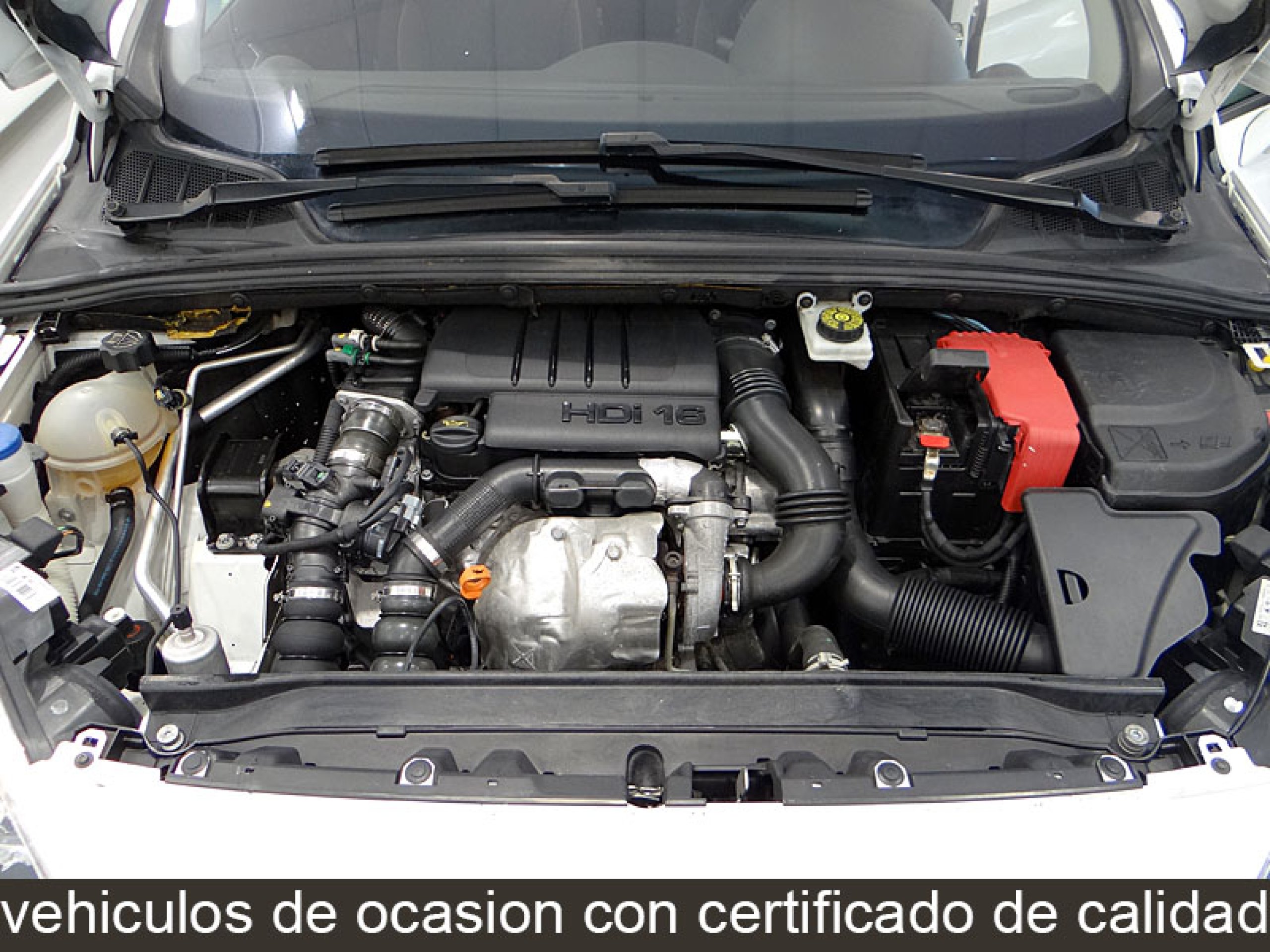 Foto Peugeot 308 13