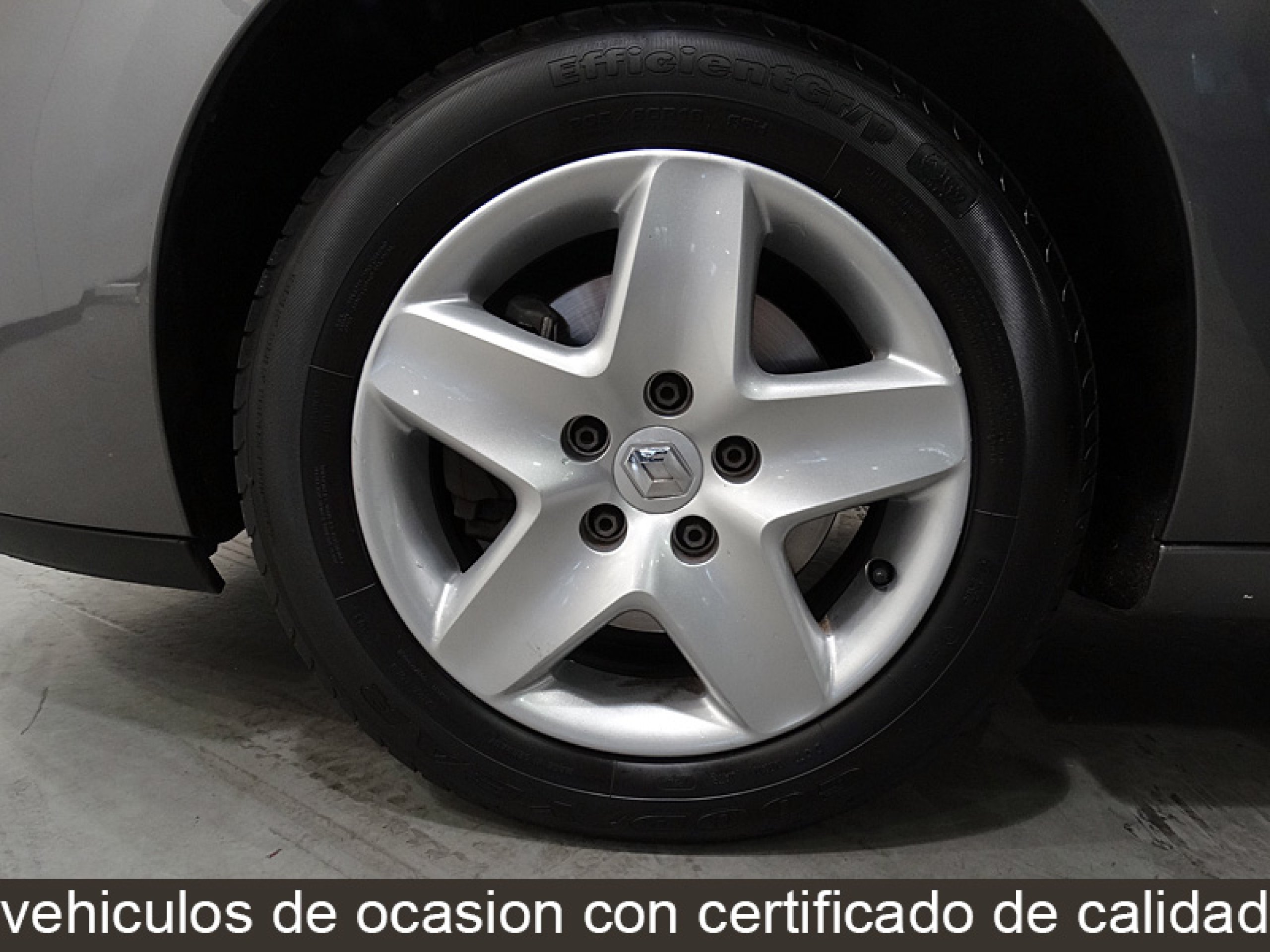 Foto Renault Grand Scenic 14