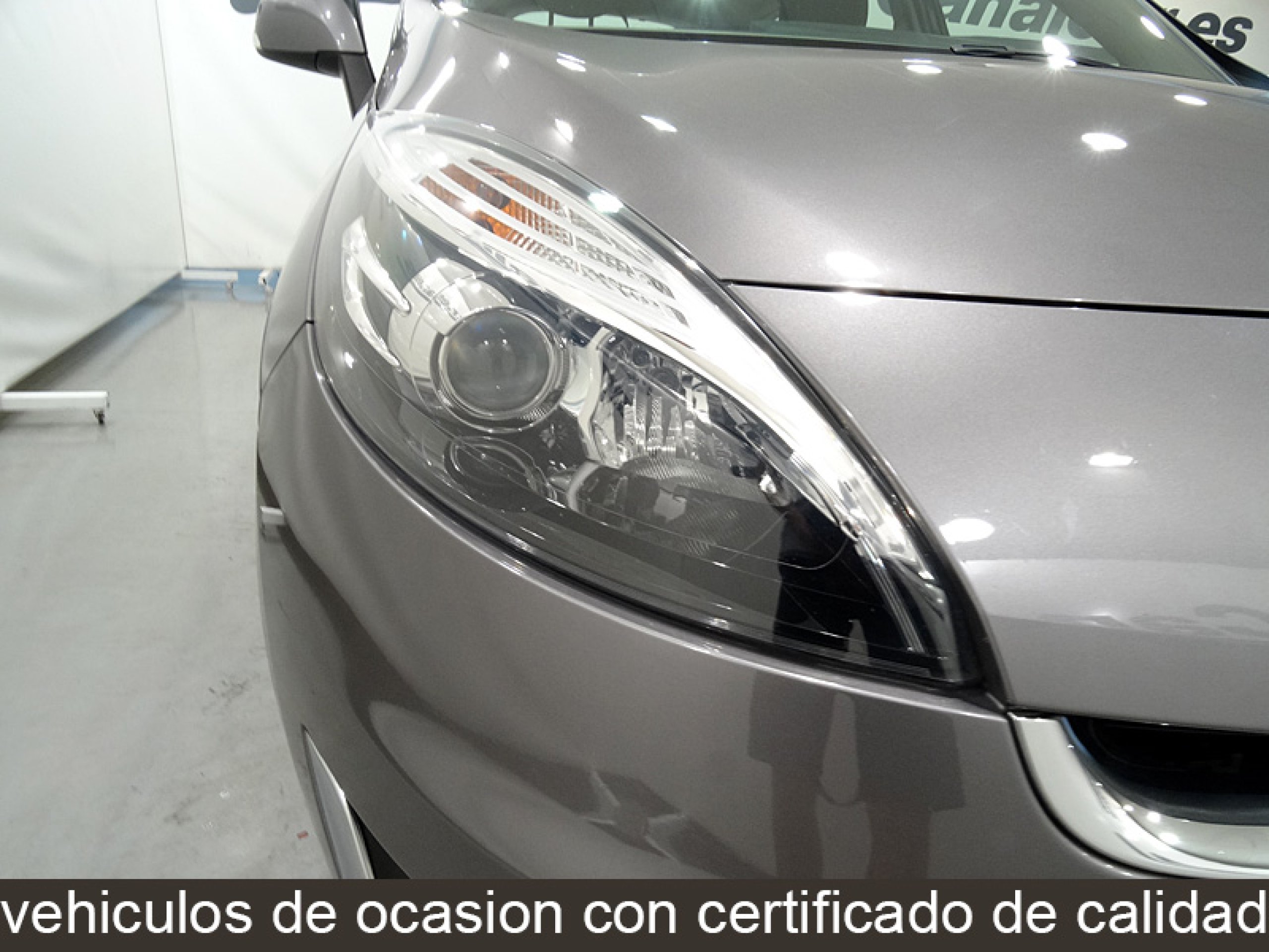 Foto Renault Grand Scenic 18