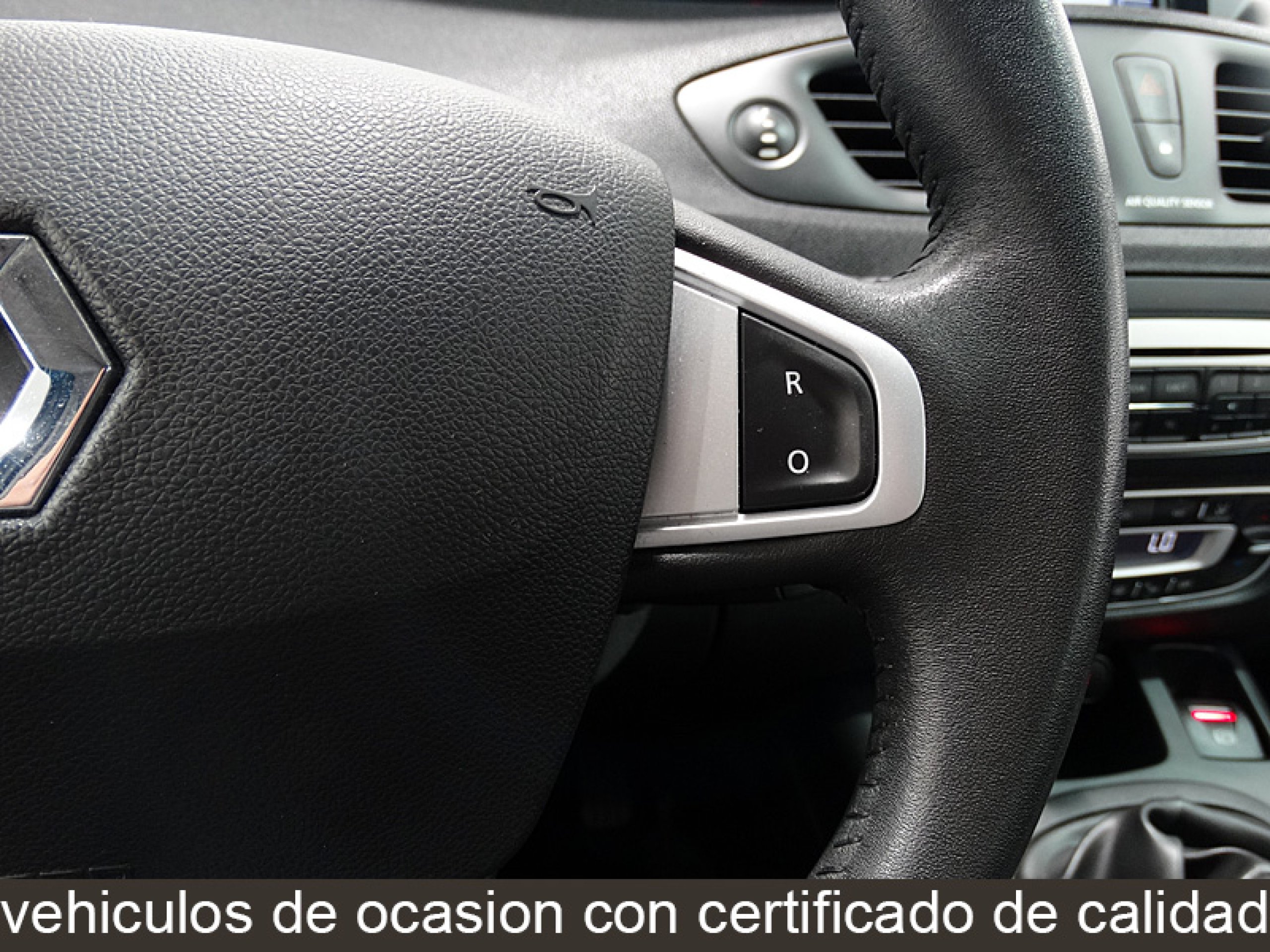 Foto Renault Grand Scenic 28
