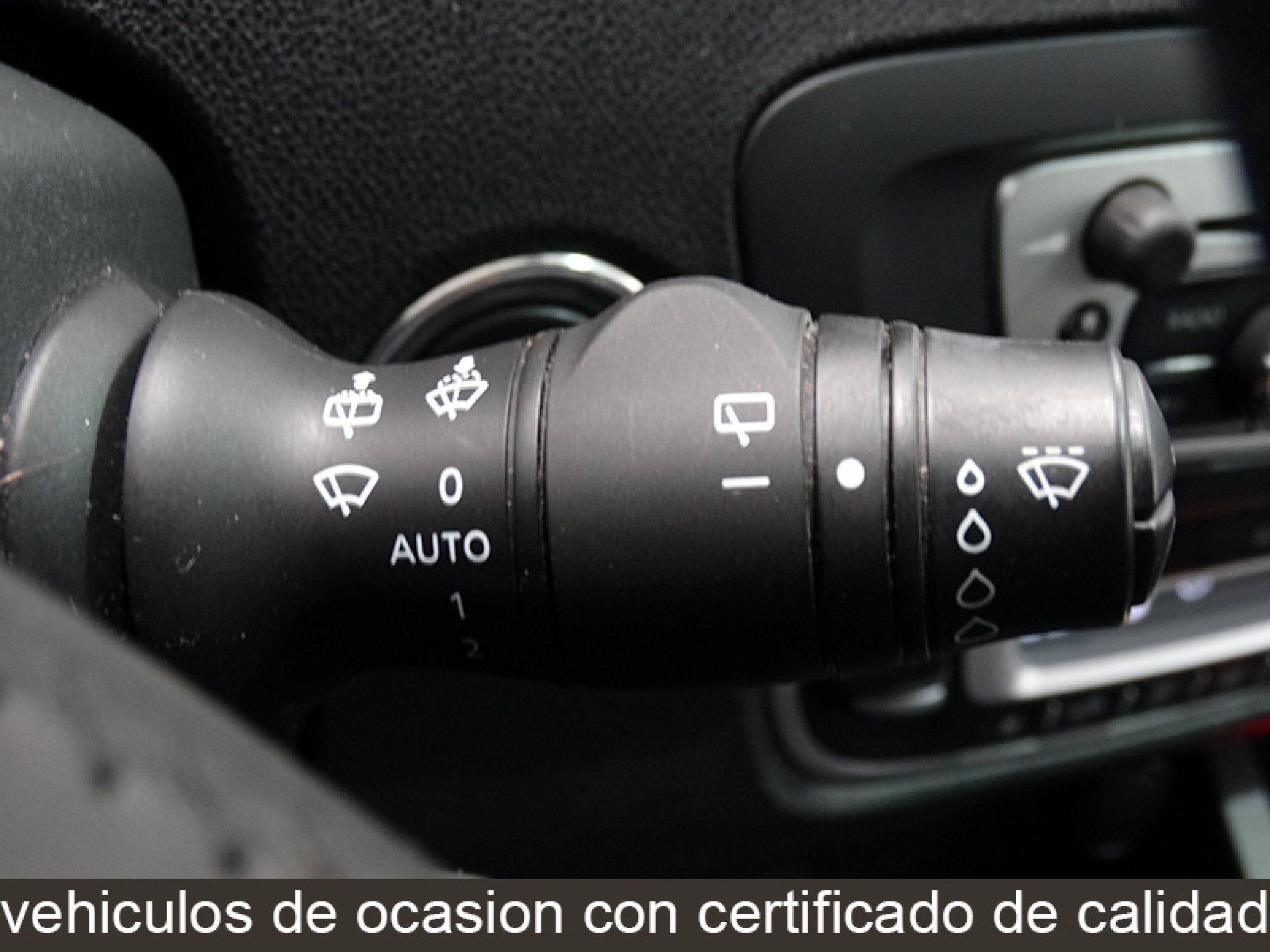 Foto Renault Grand Scenic 29