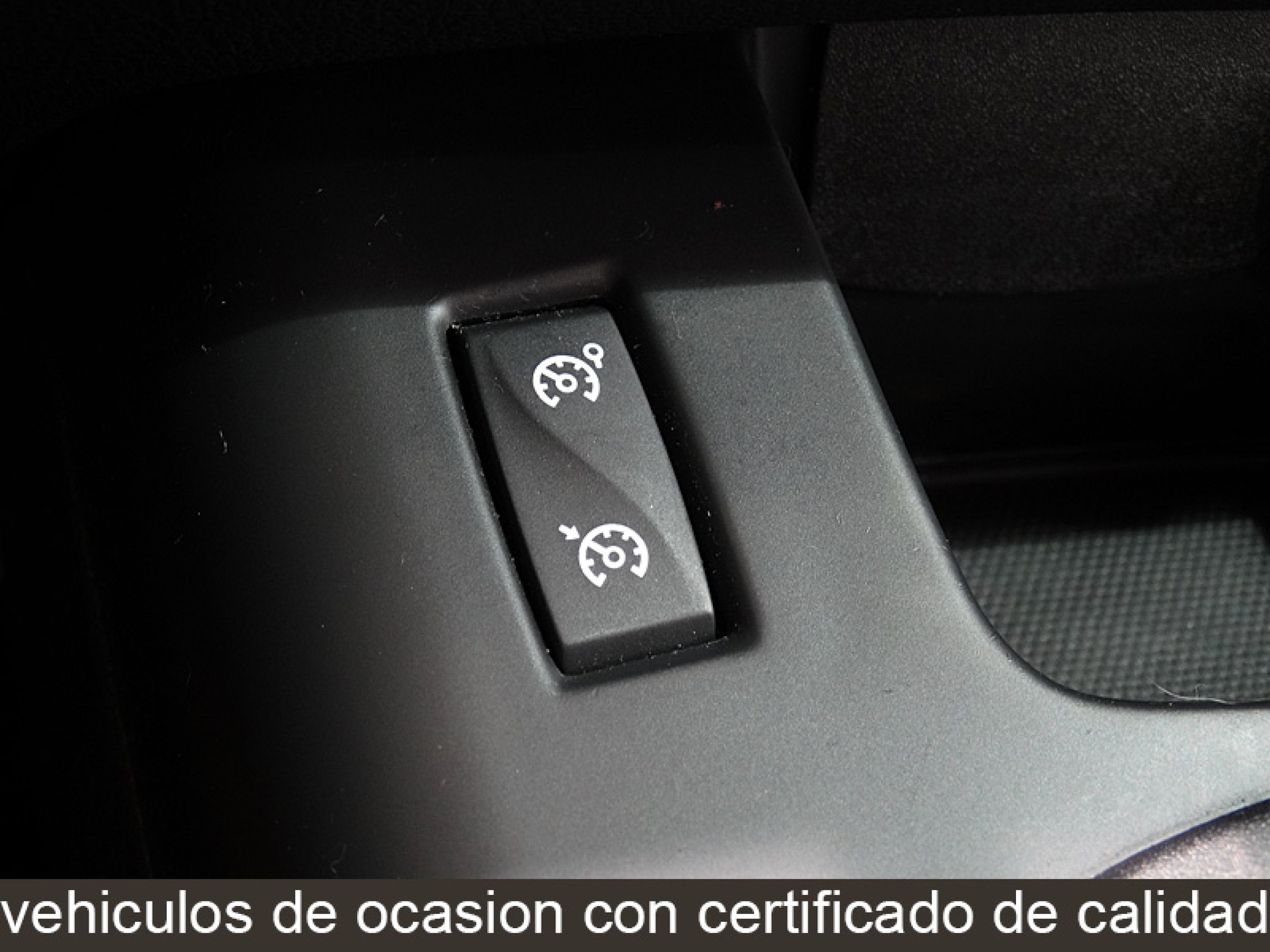 Foto Renault Grand Scenic 32