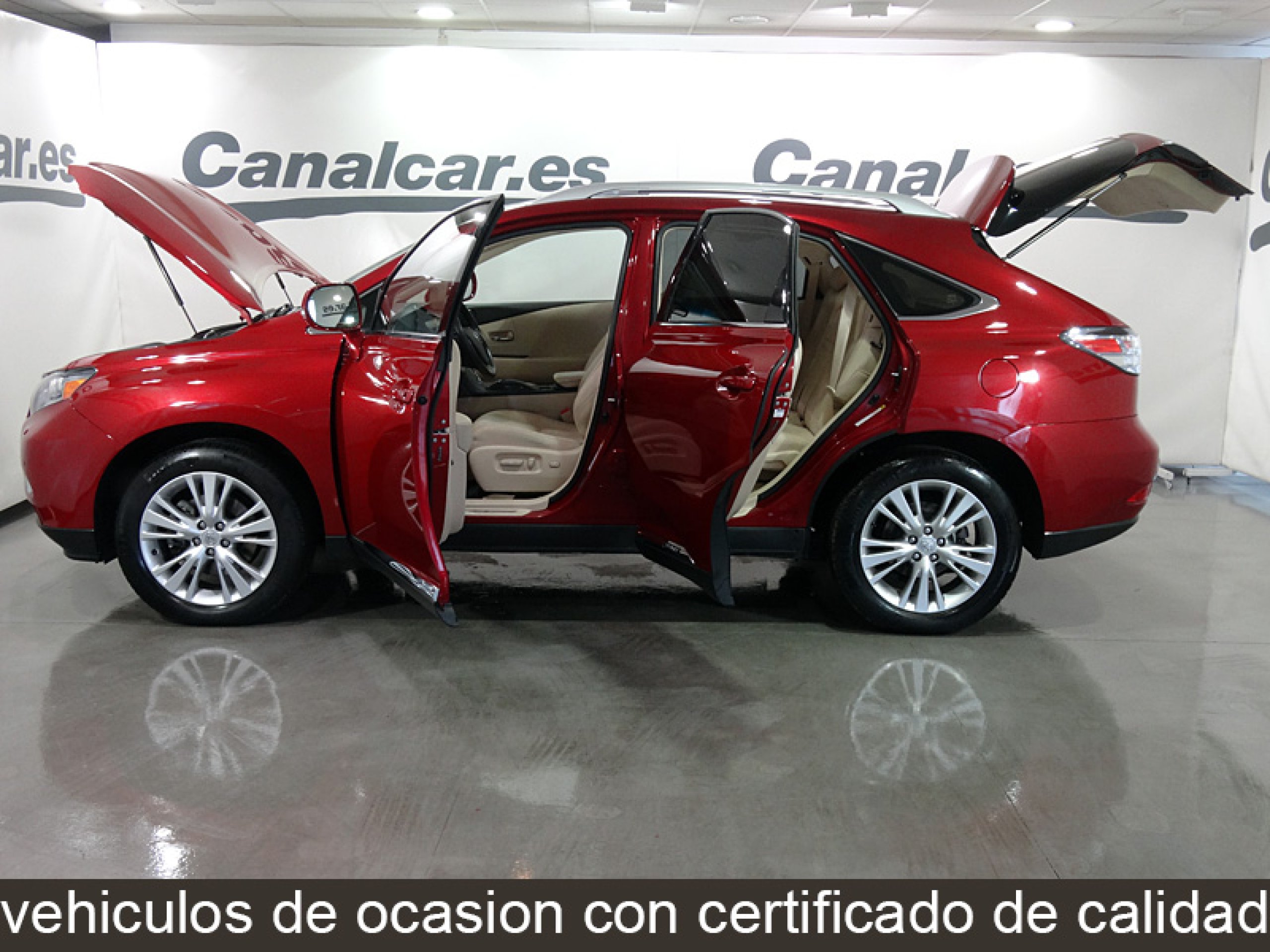 Foto Lexus RX 450h 10