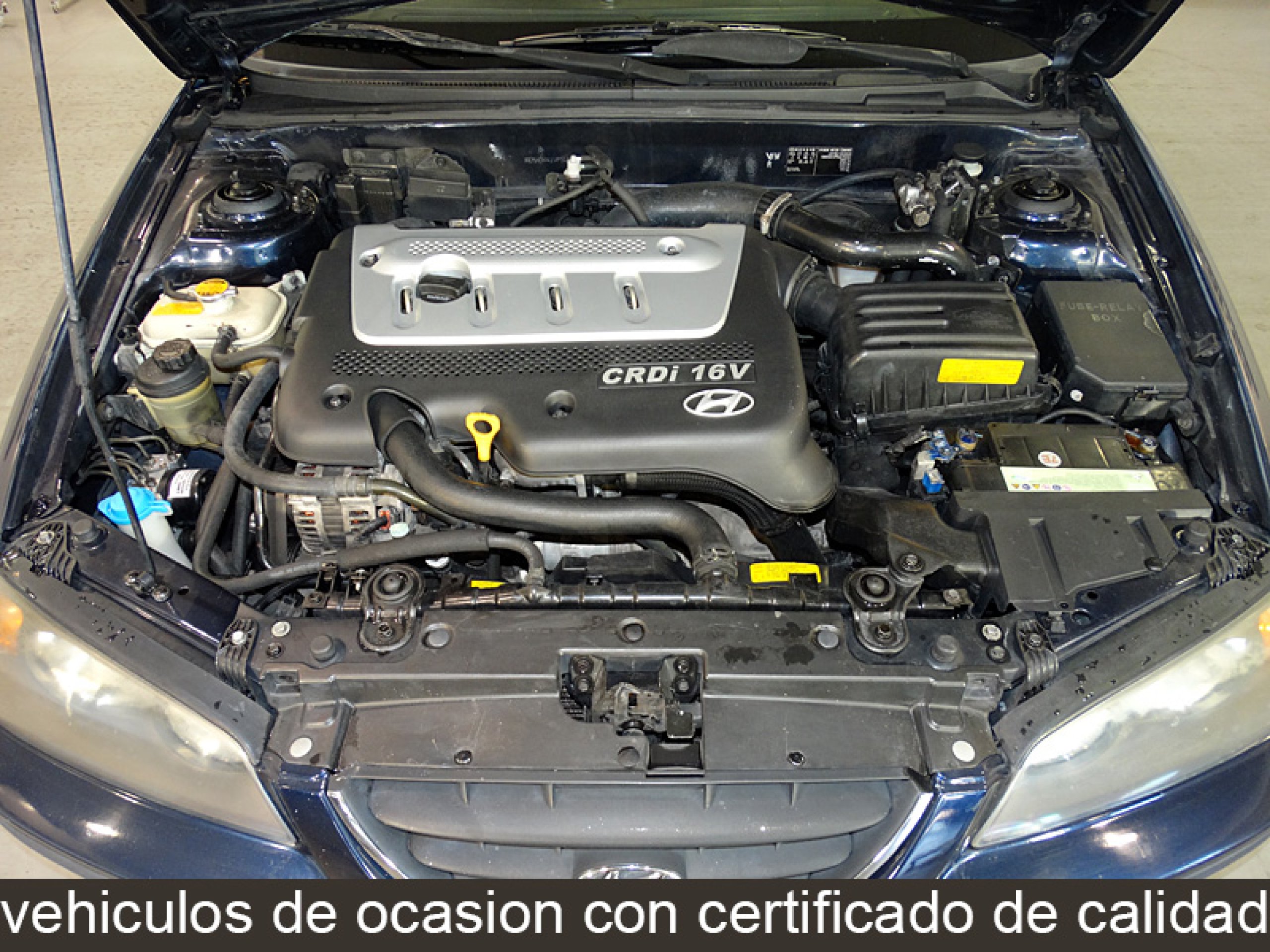 Foto Hyundai Elantra 9 Foto Hyundai Elantra 9