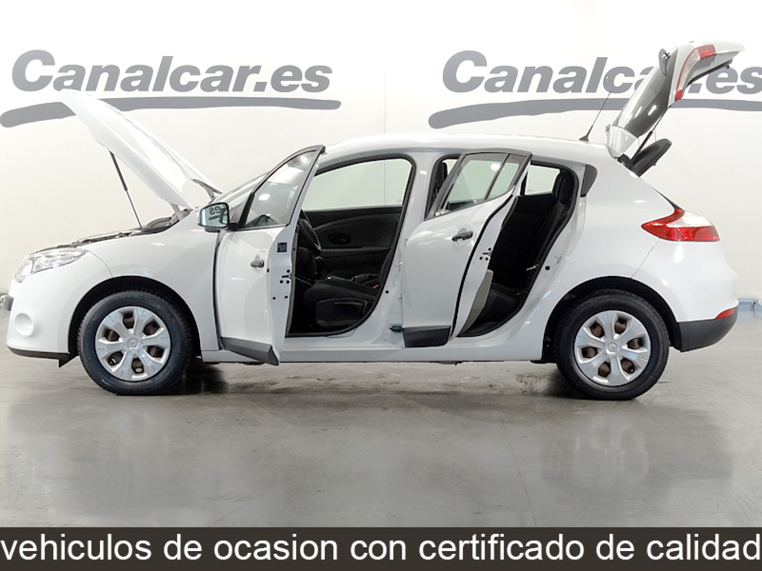 Foto Renault Megane 12