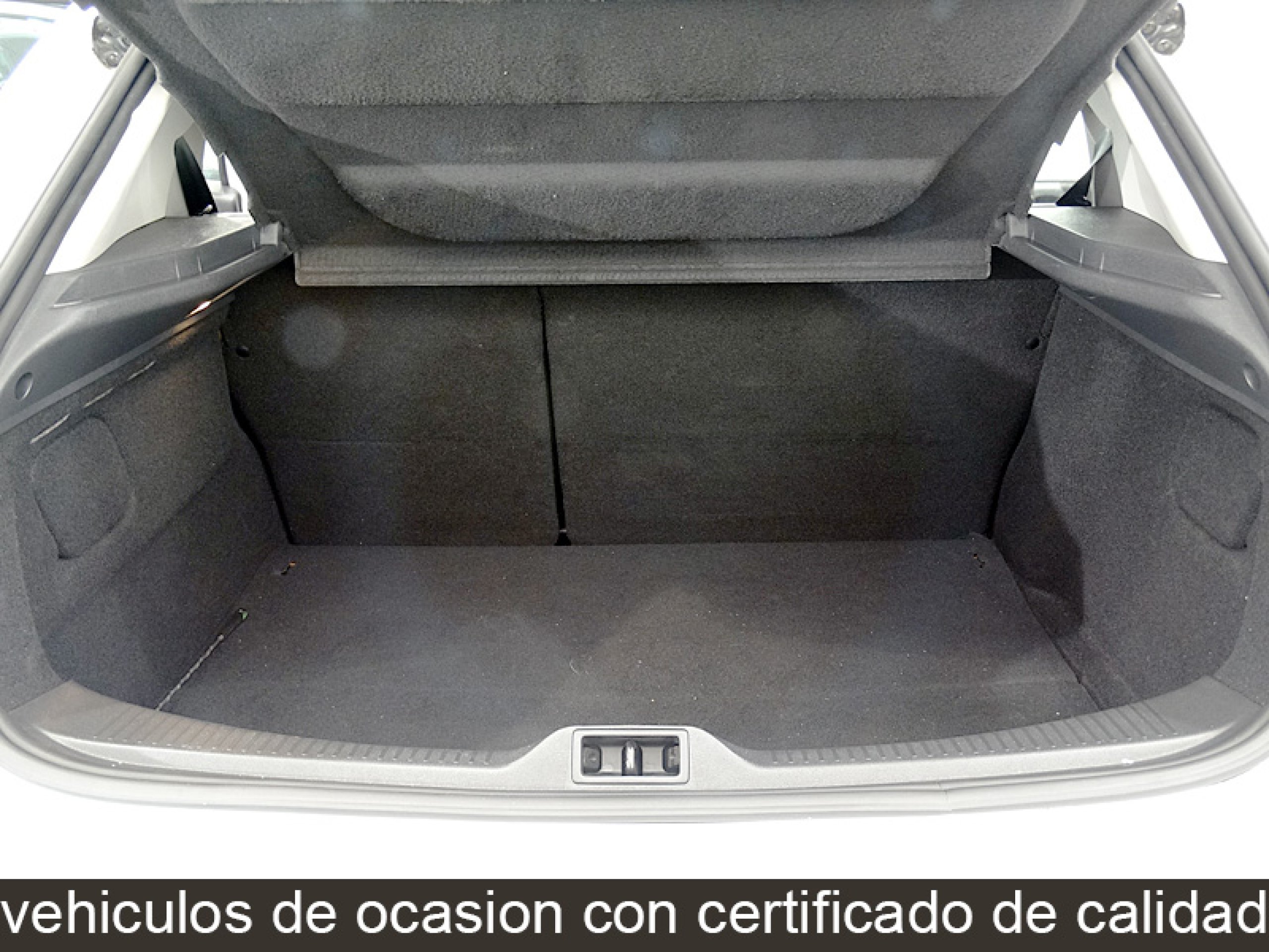Foto Renault Megane 18