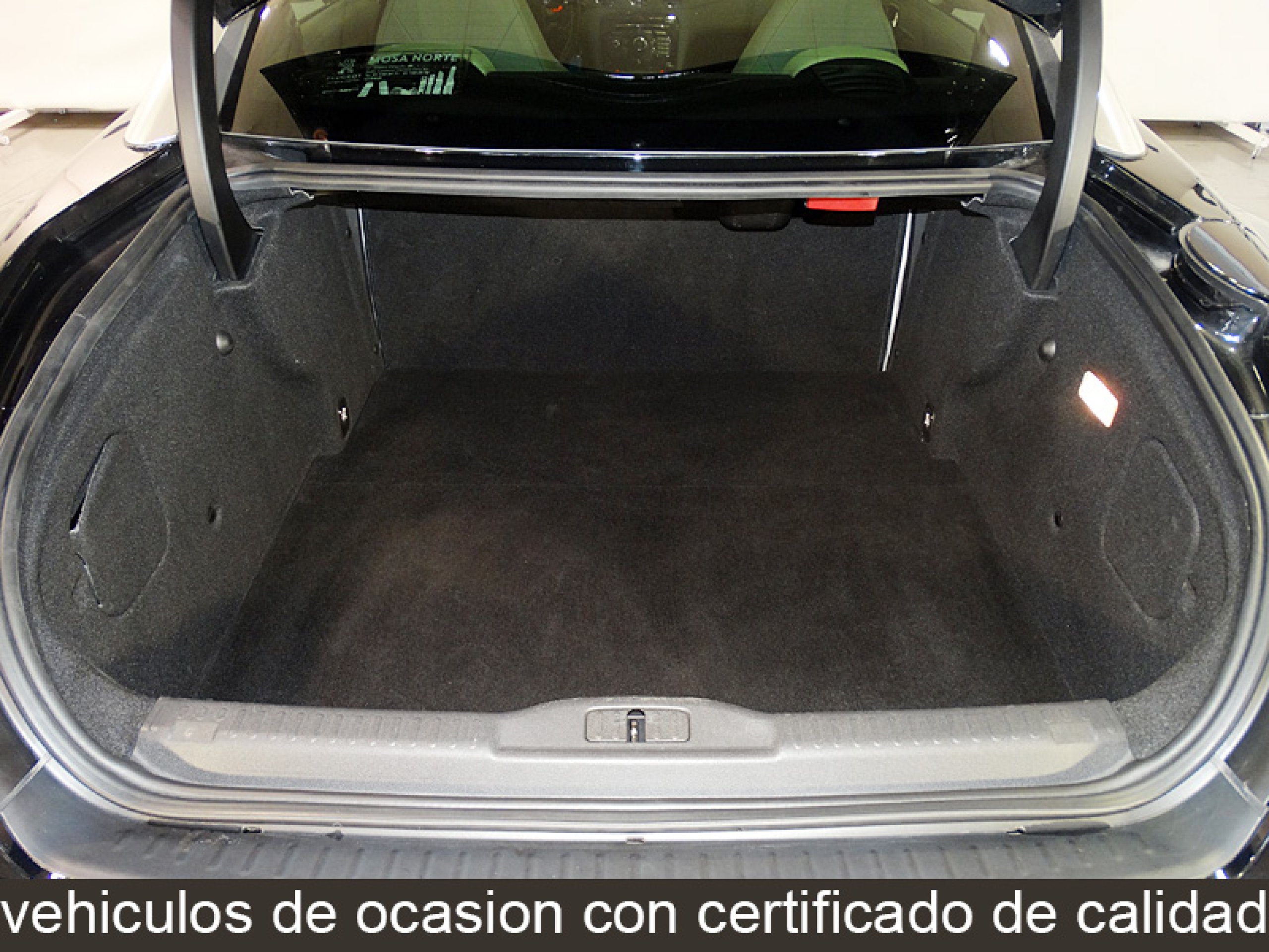 Foto Peugeot RCZ 9