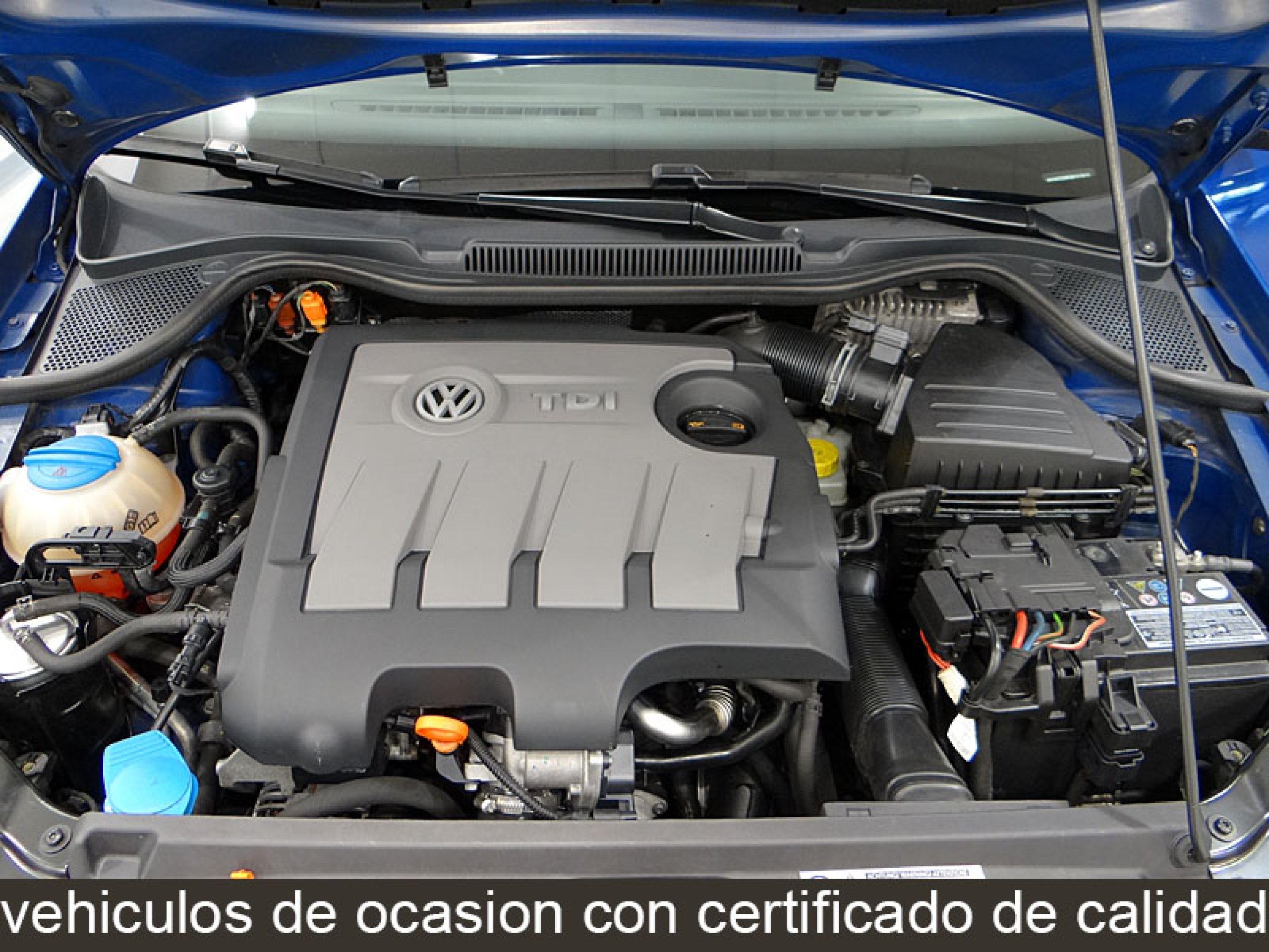 Foto Volkswagen Polo 13