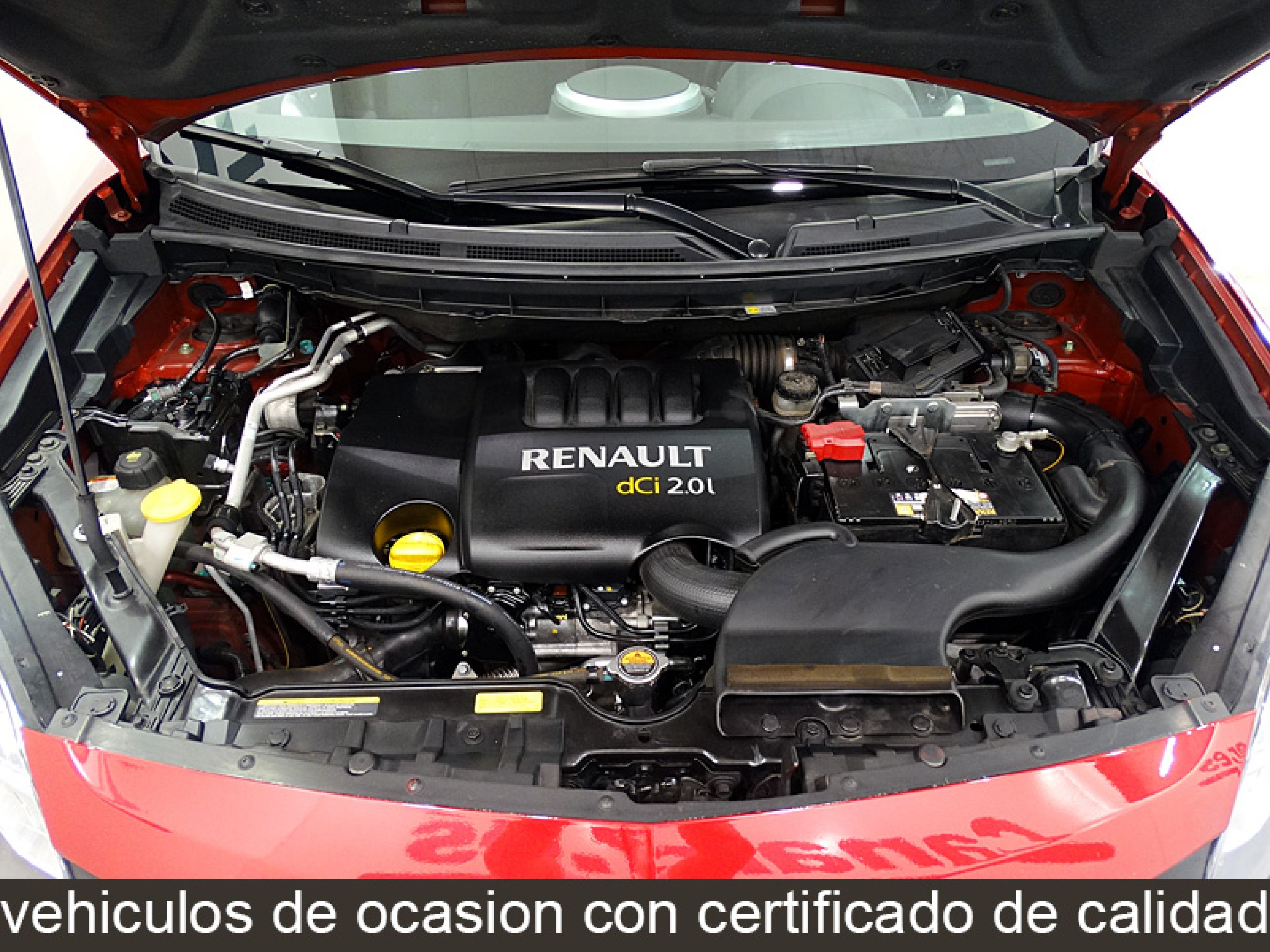 Foto Renault Koleos 15