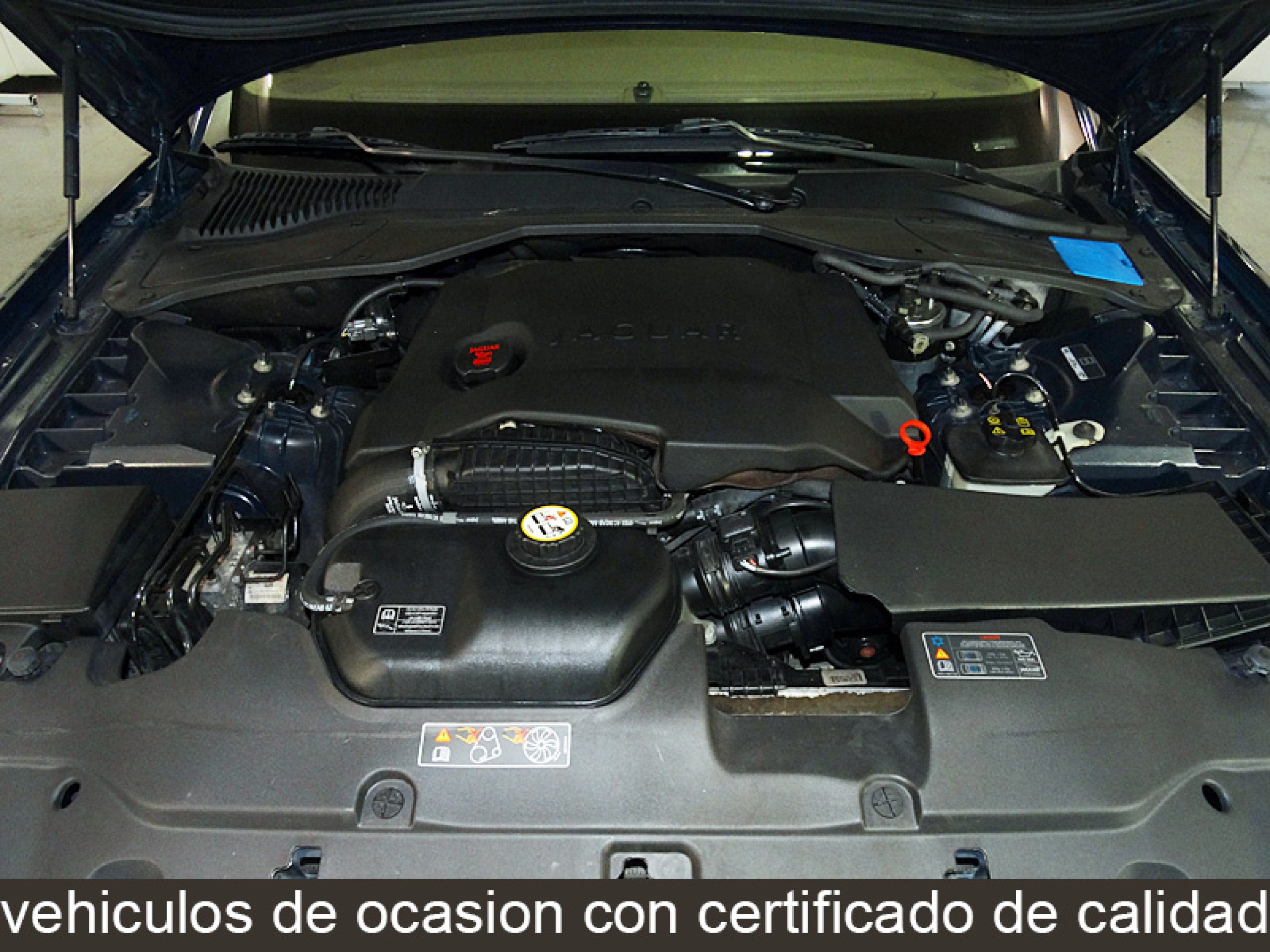Foto Jaguar XJ 8