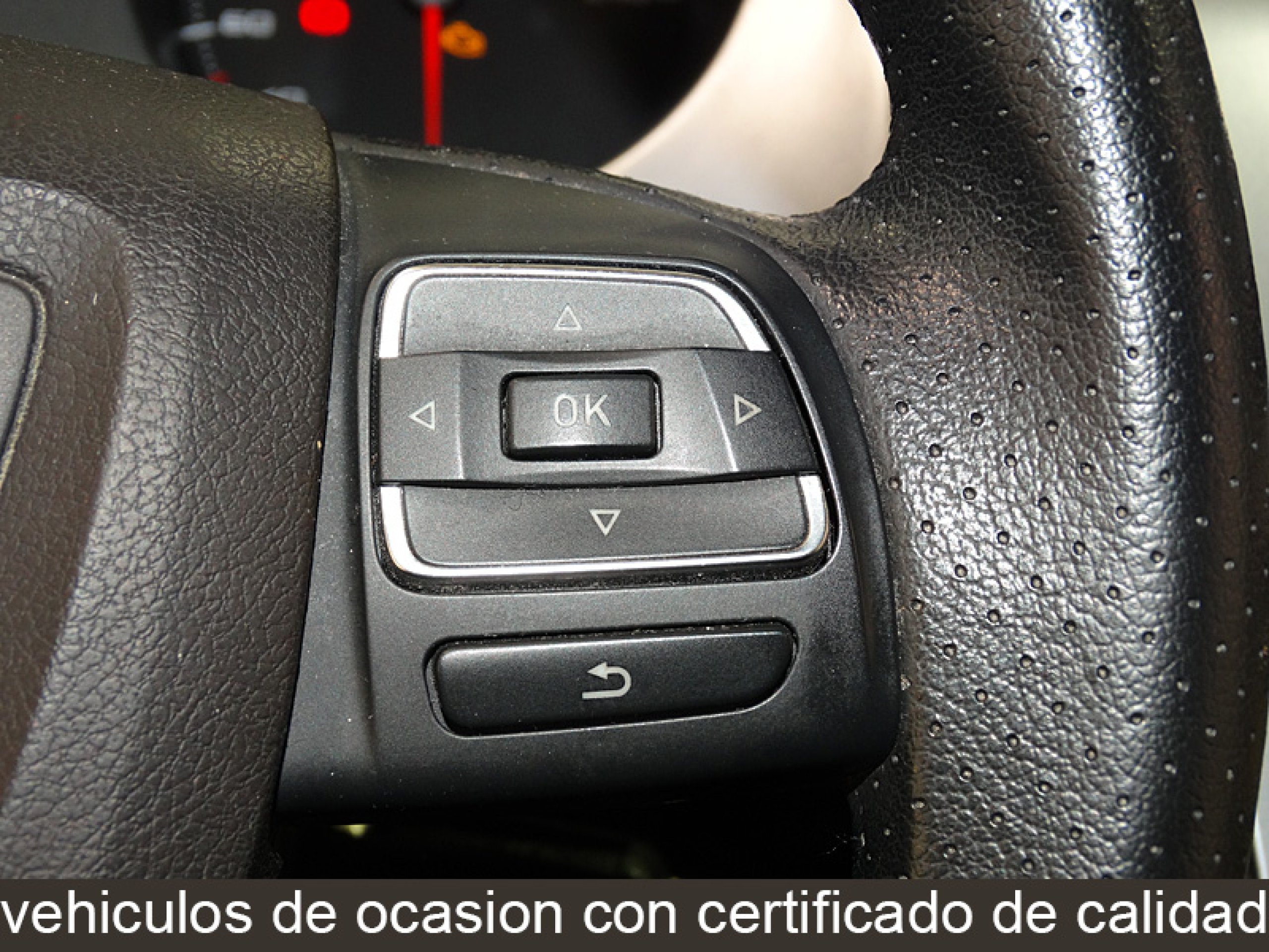 Foto Seat Altea XL 27