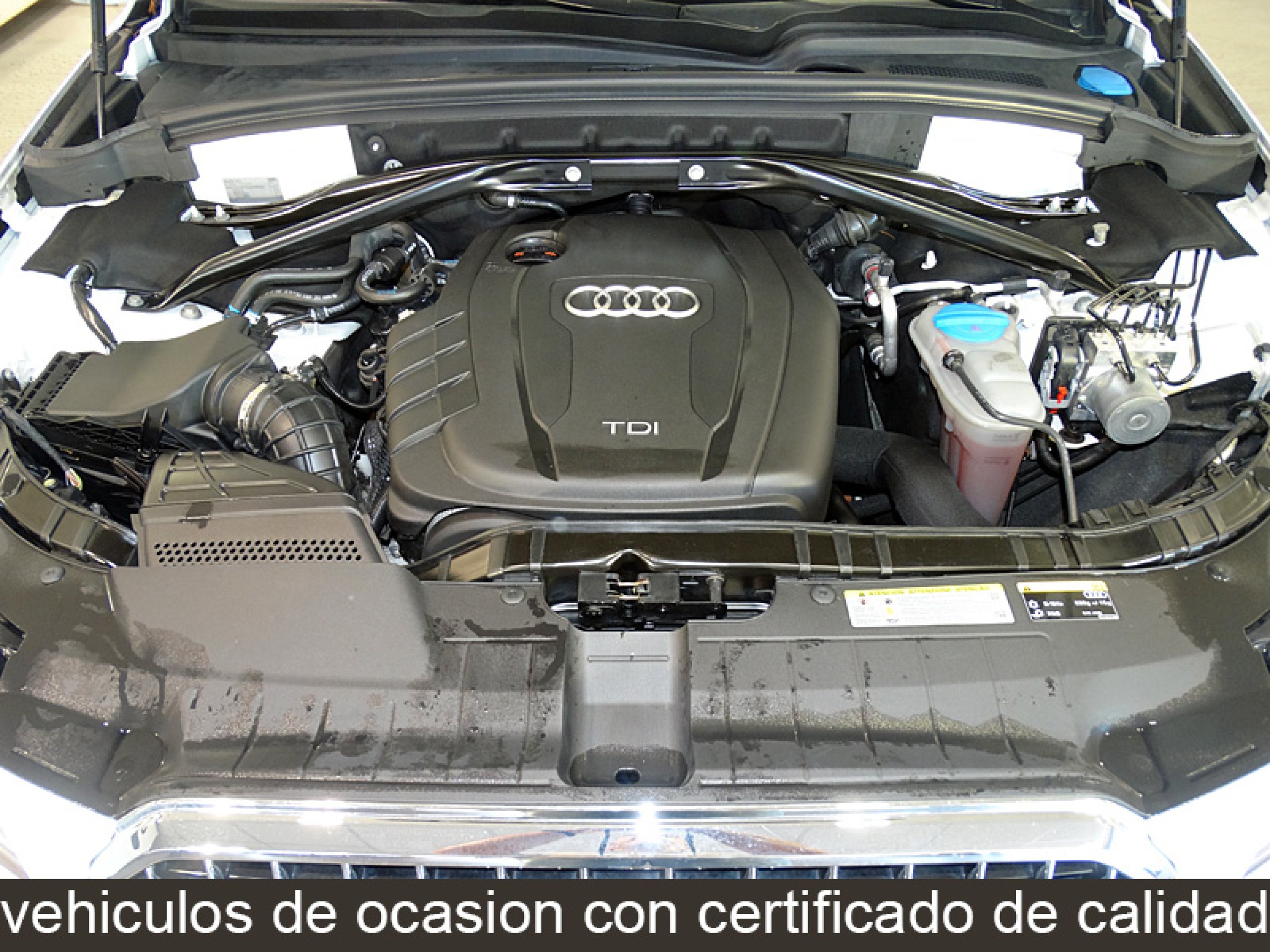 Foto Audi Q5 8