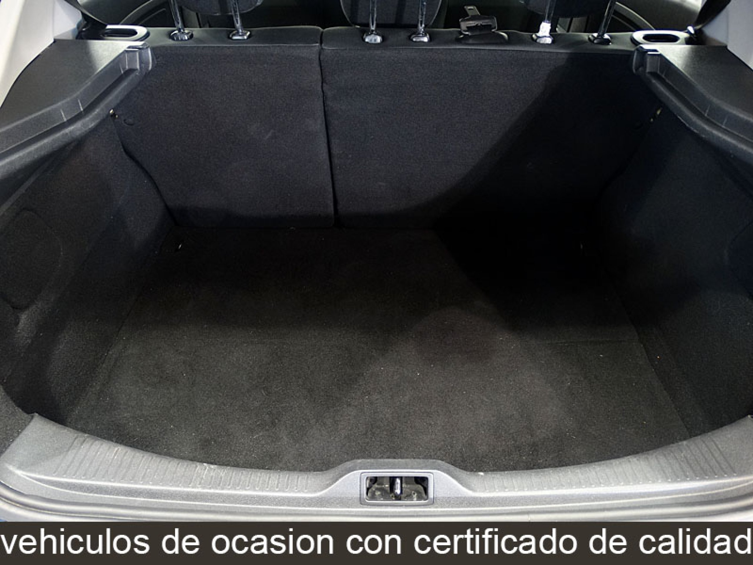 Foto Renault Megane 20