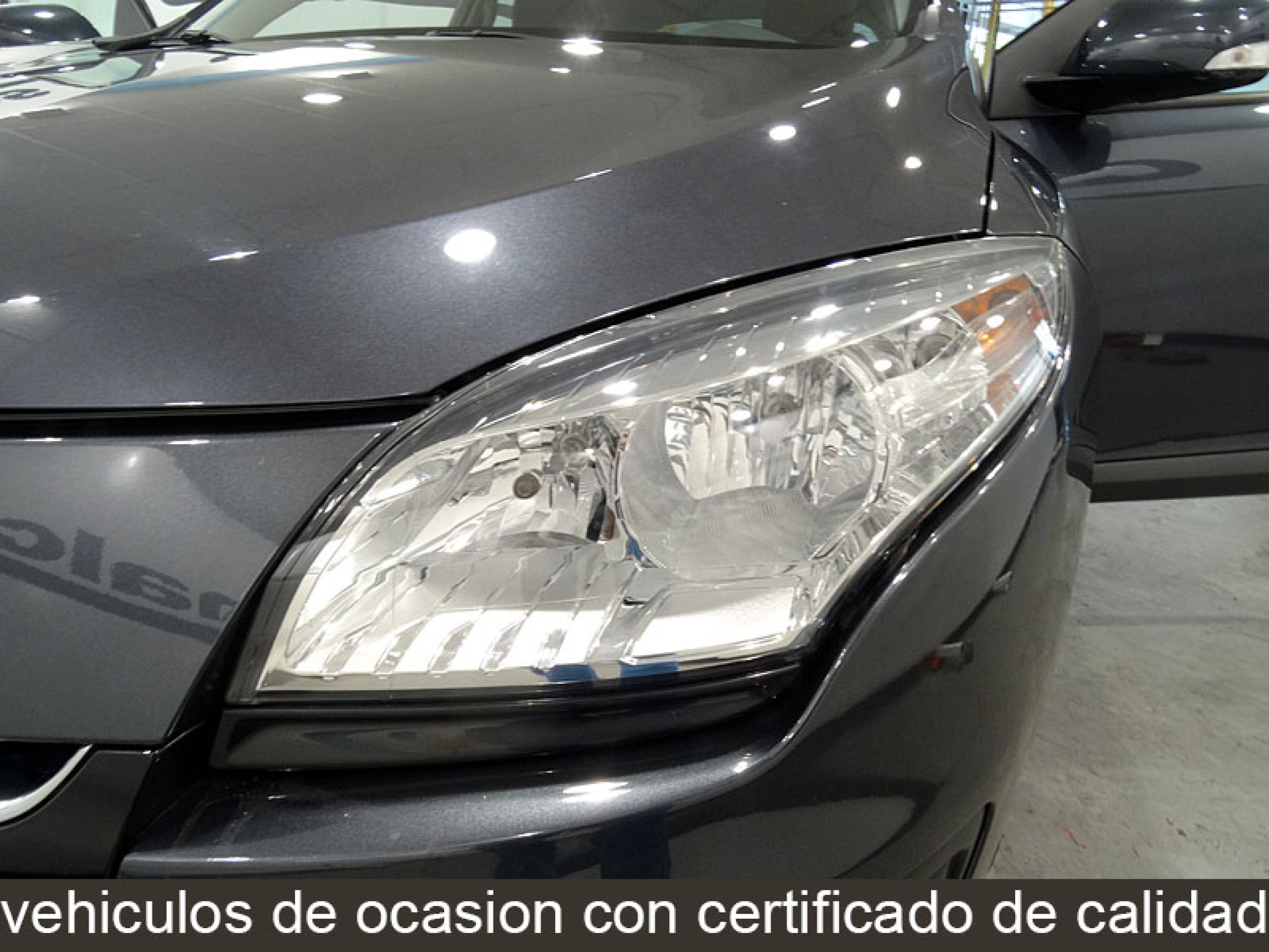 Foto Renault Megane 24