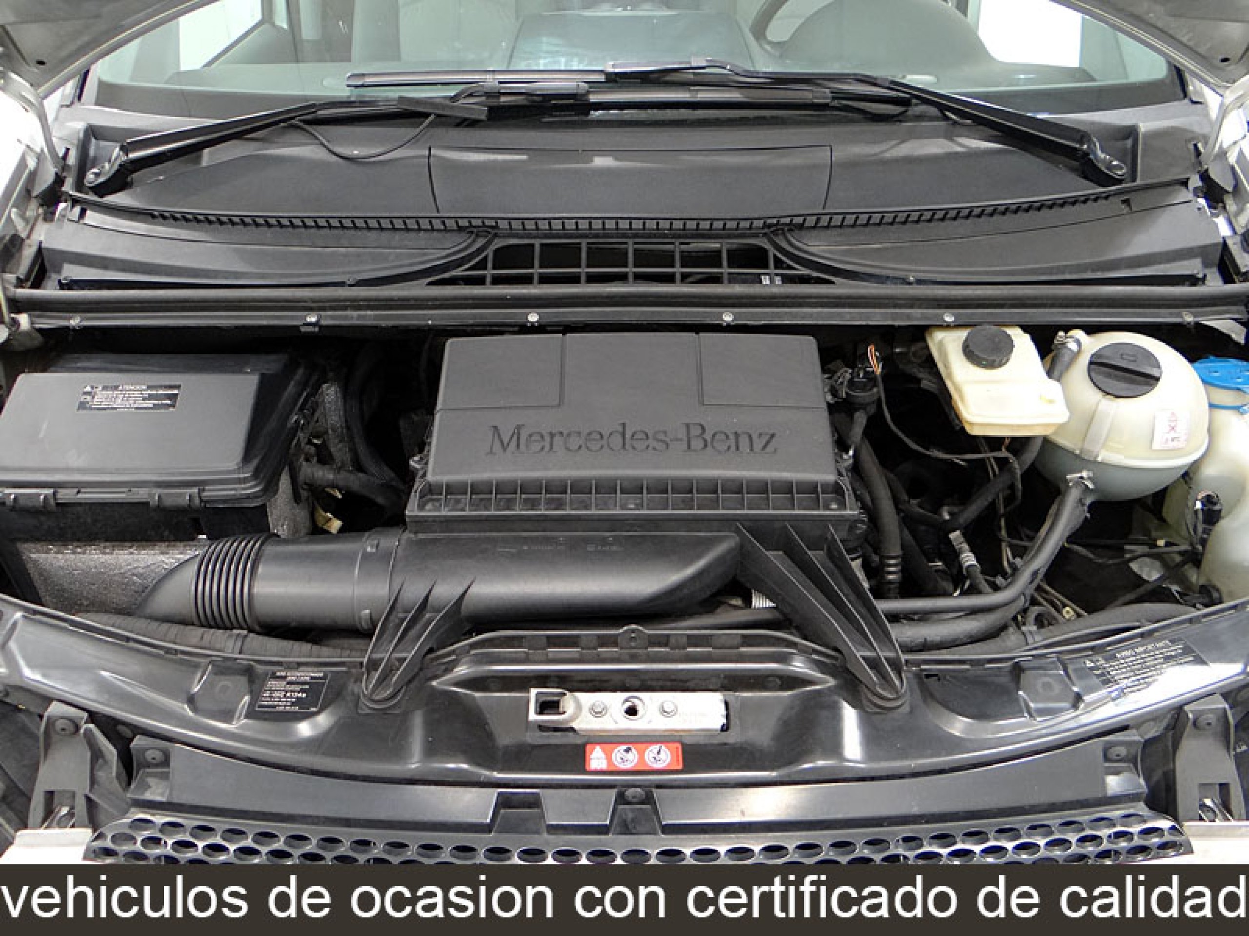 Foto Mercedes-Benz Viano 12