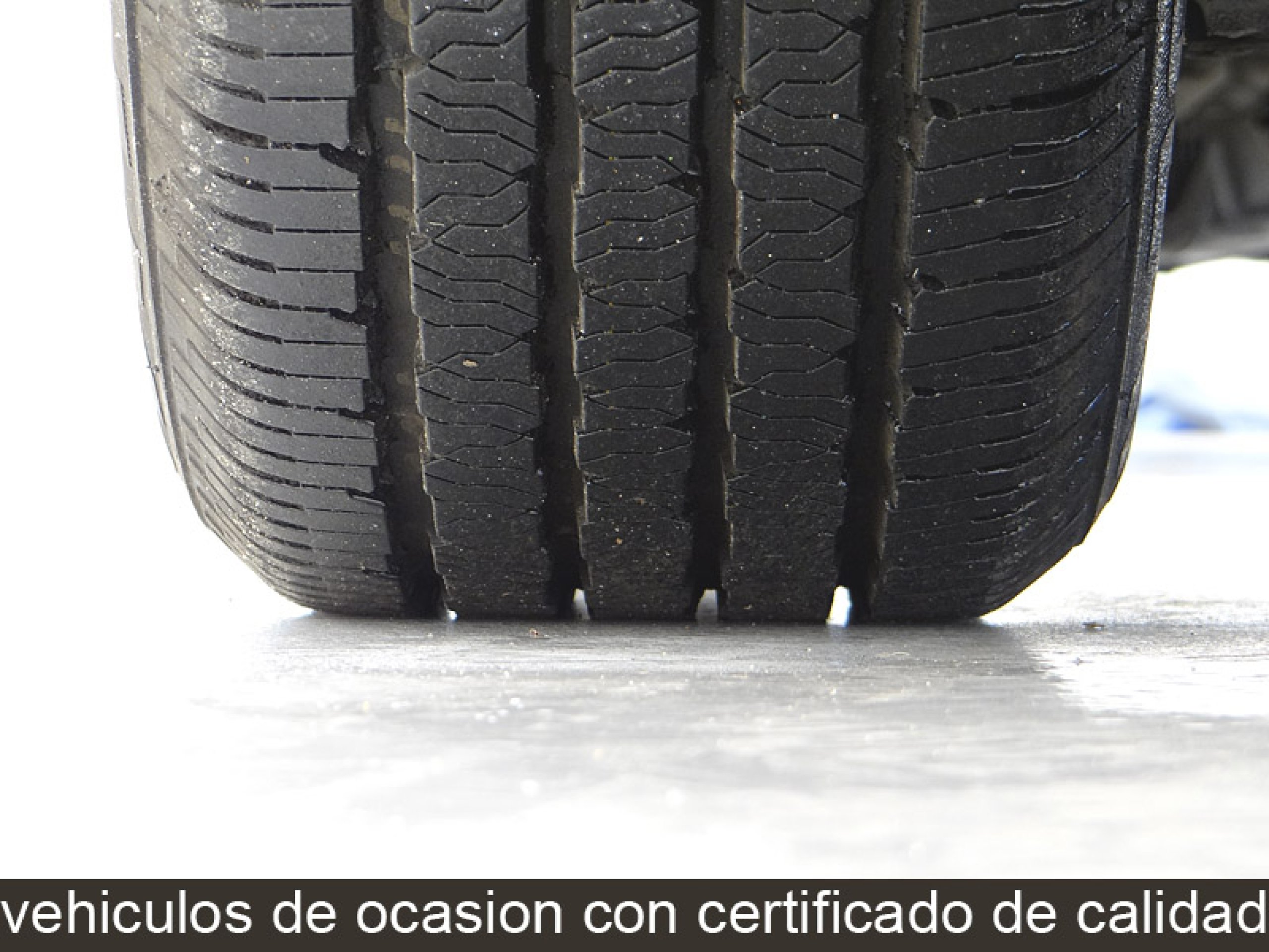 Foto Kia Carnival 40