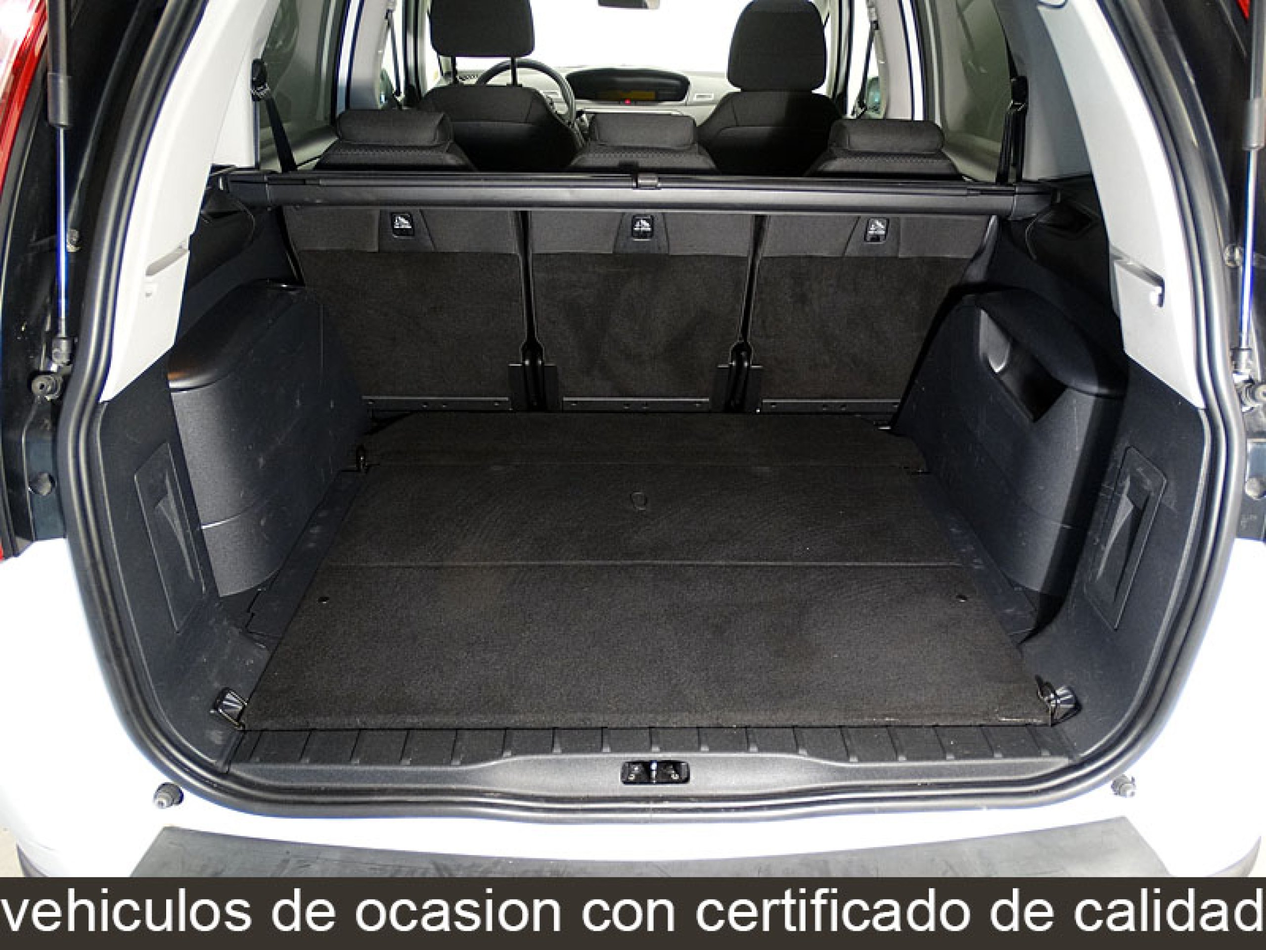 Foto Citroen Grand C4 Picasso 14