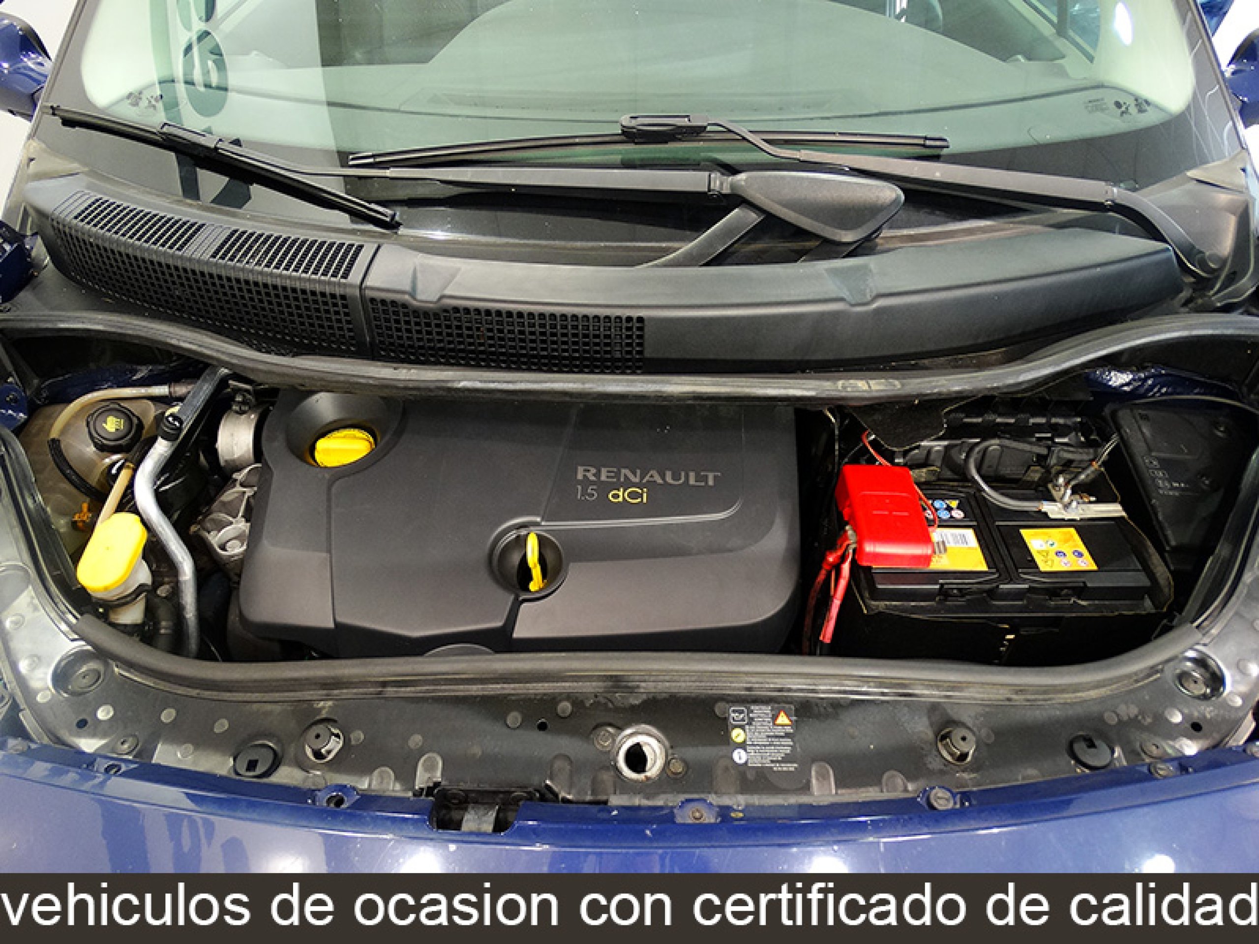 Foto Renault Scenic 15