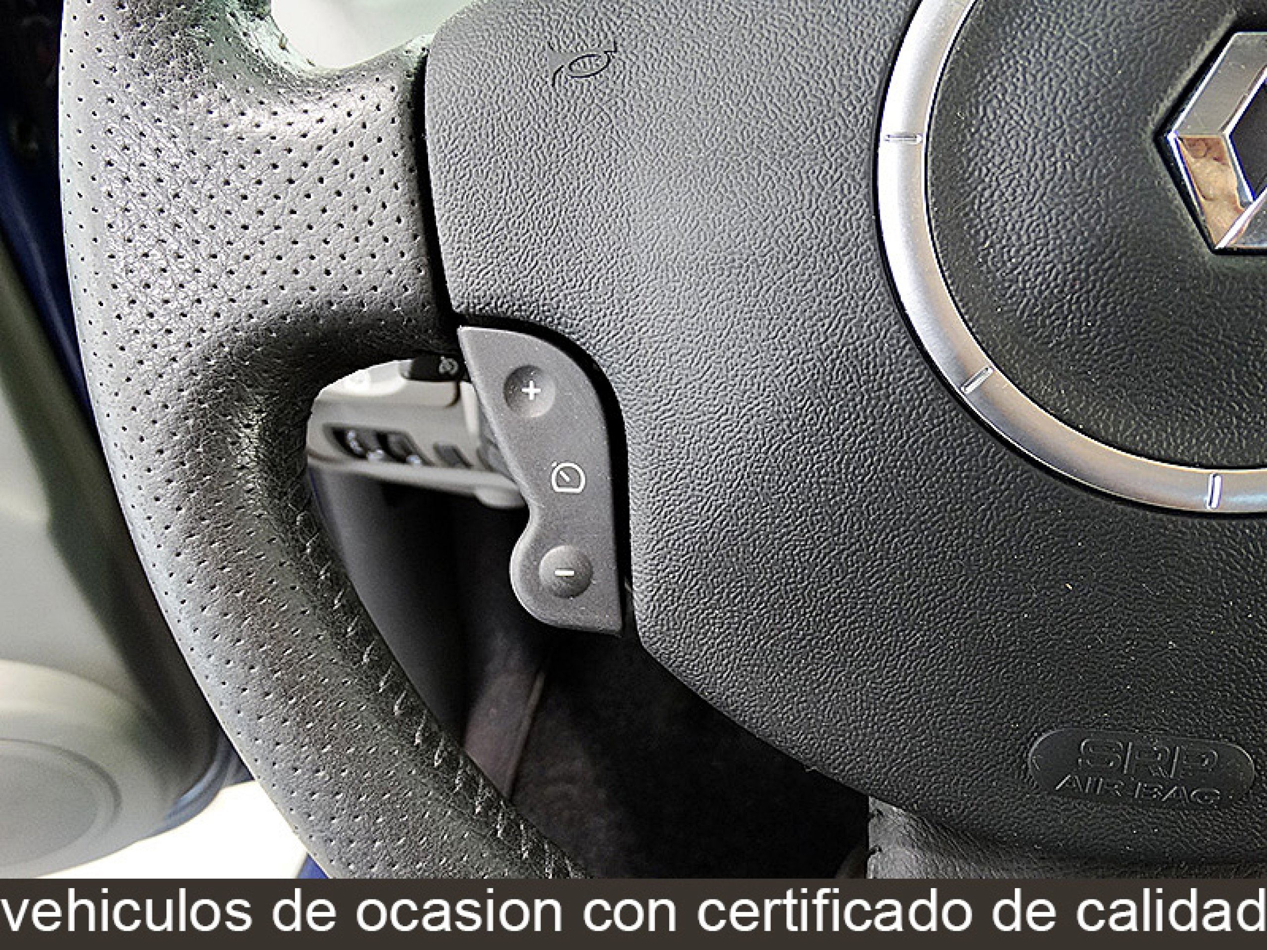 Foto Renault Scenic 26