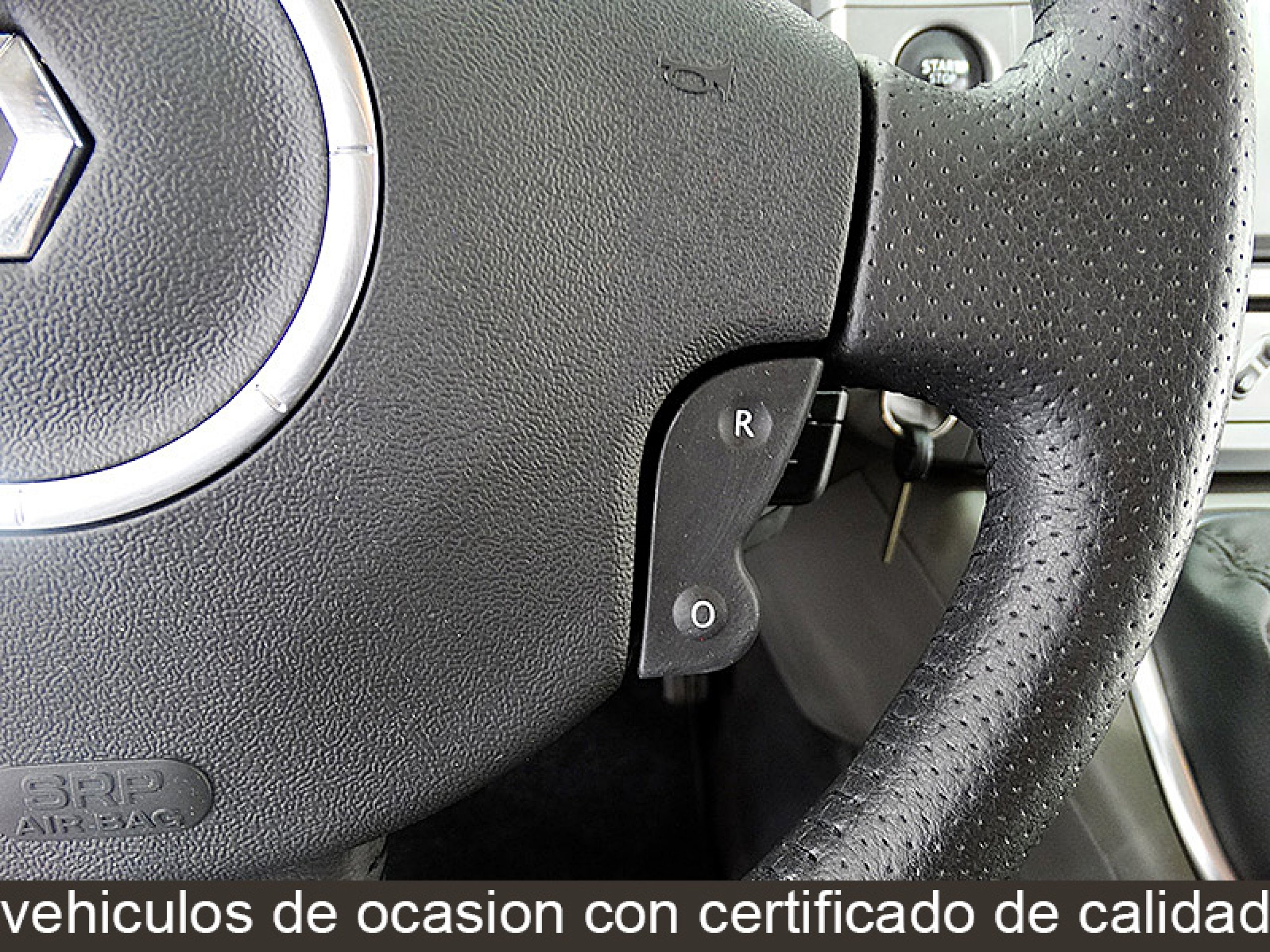 Foto Renault Scenic 27