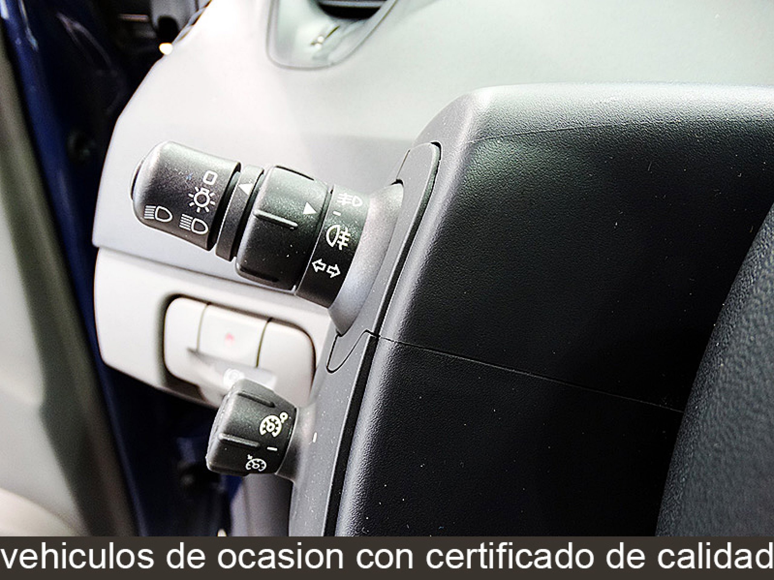 Foto Renault Scenic 28