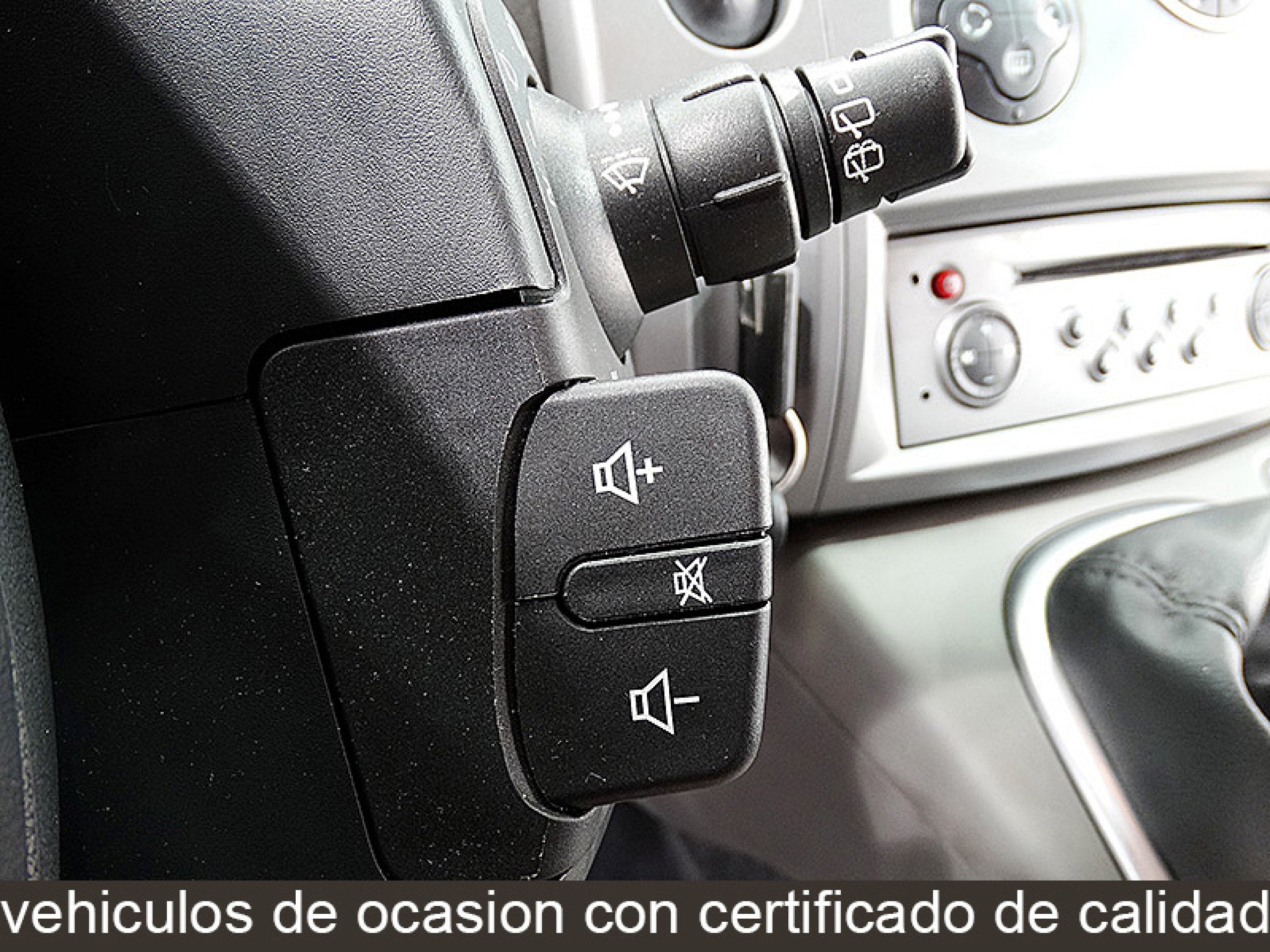 Foto Renault Scenic 29
