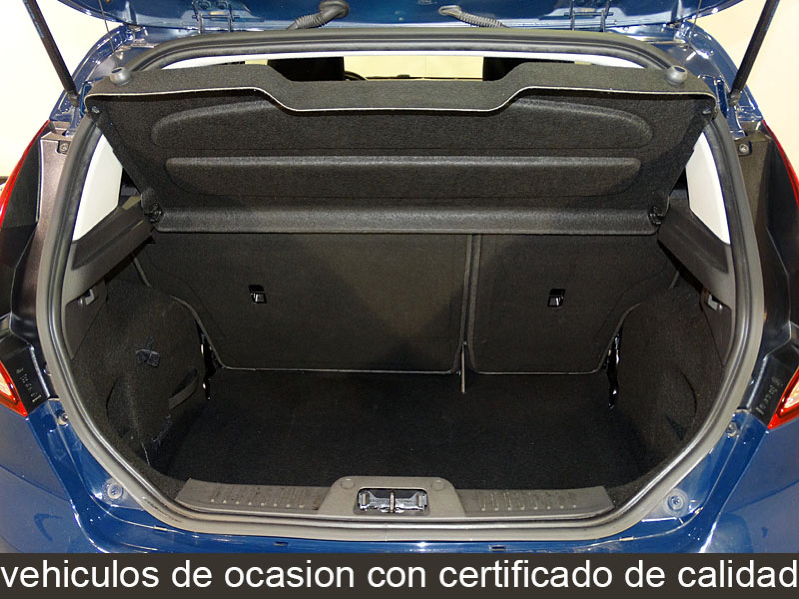Foto Ford Fiesta 10