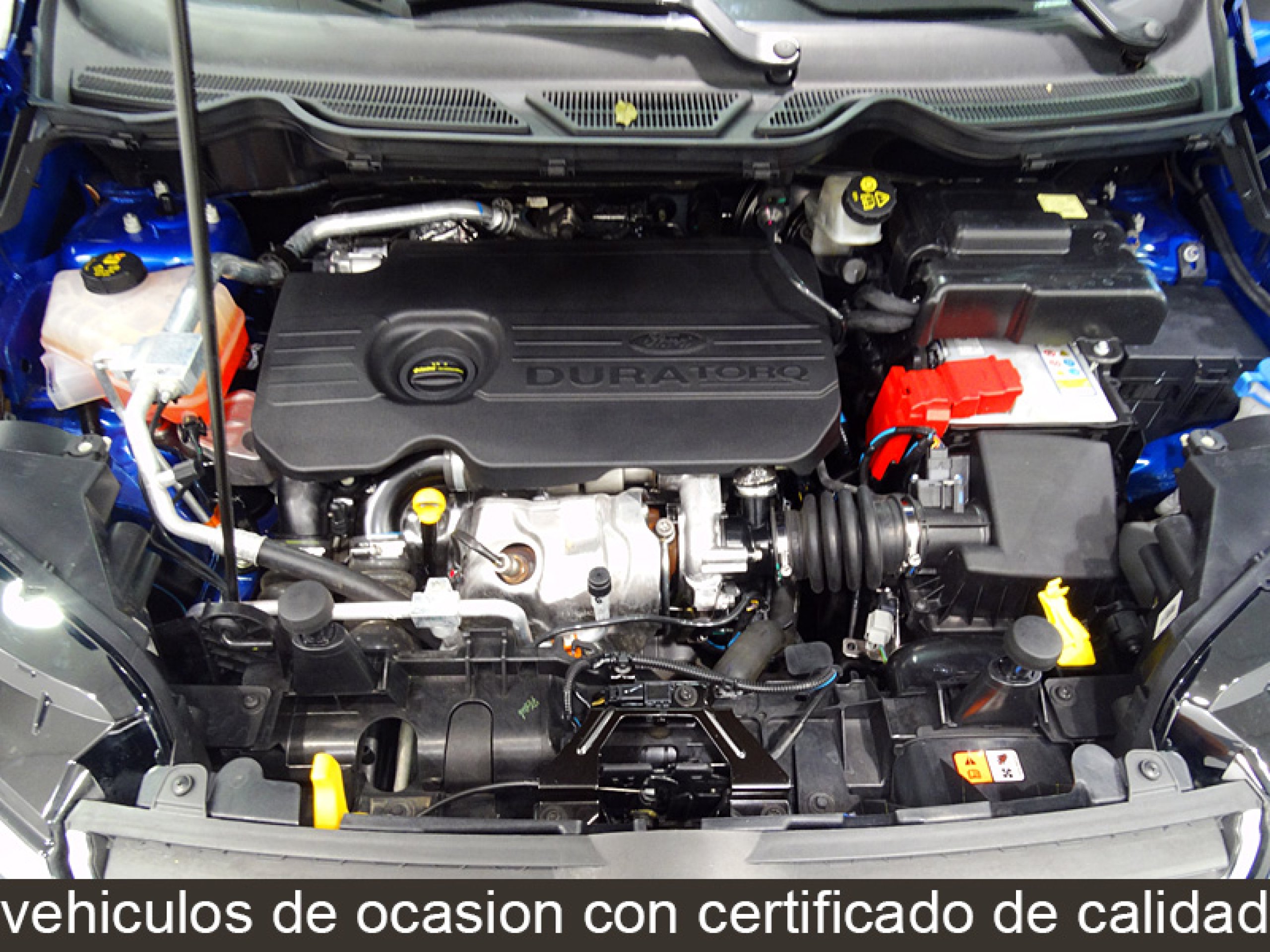 Foto Ford EcoSport 11