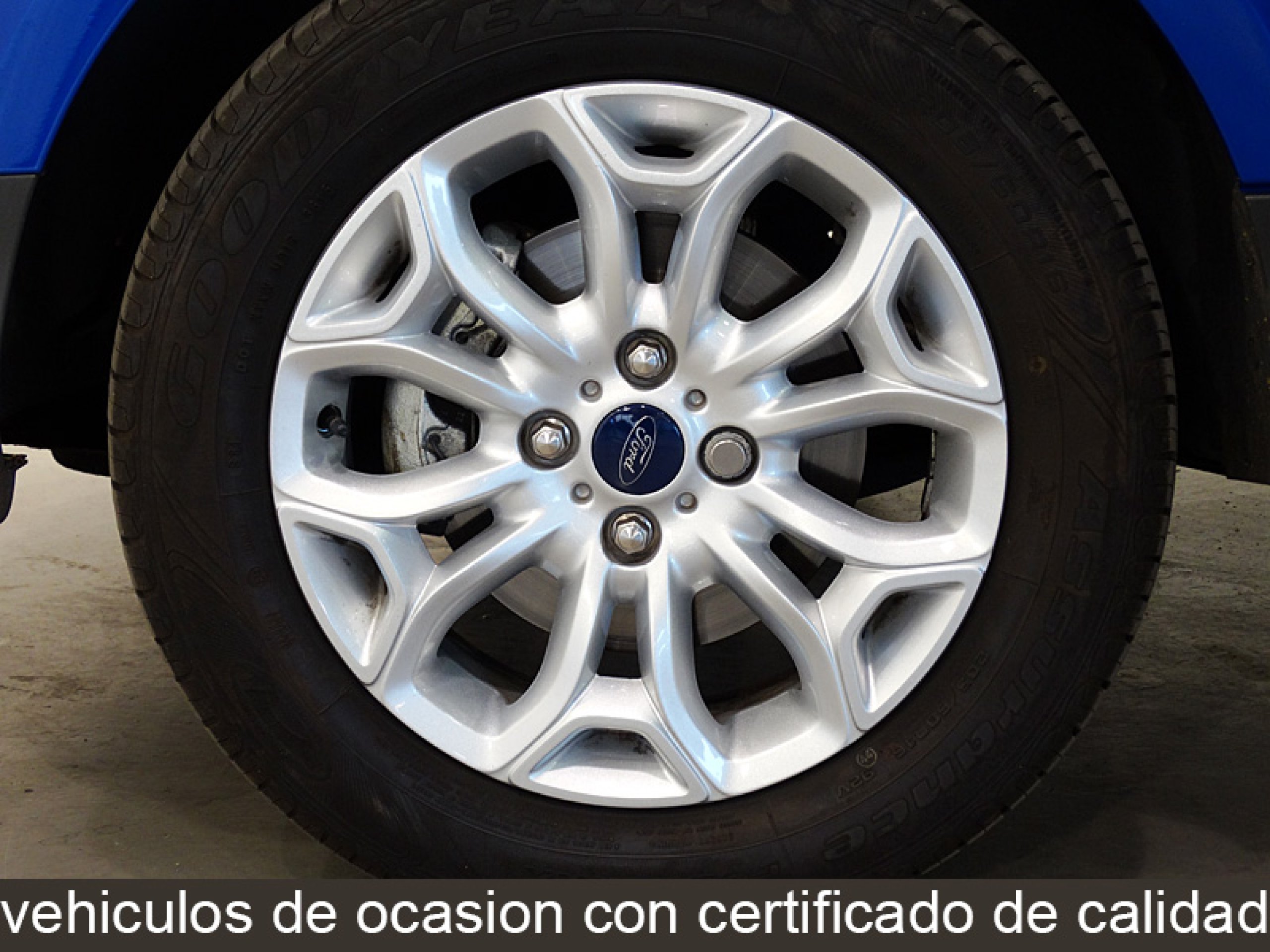 Foto Ford EcoSport 13