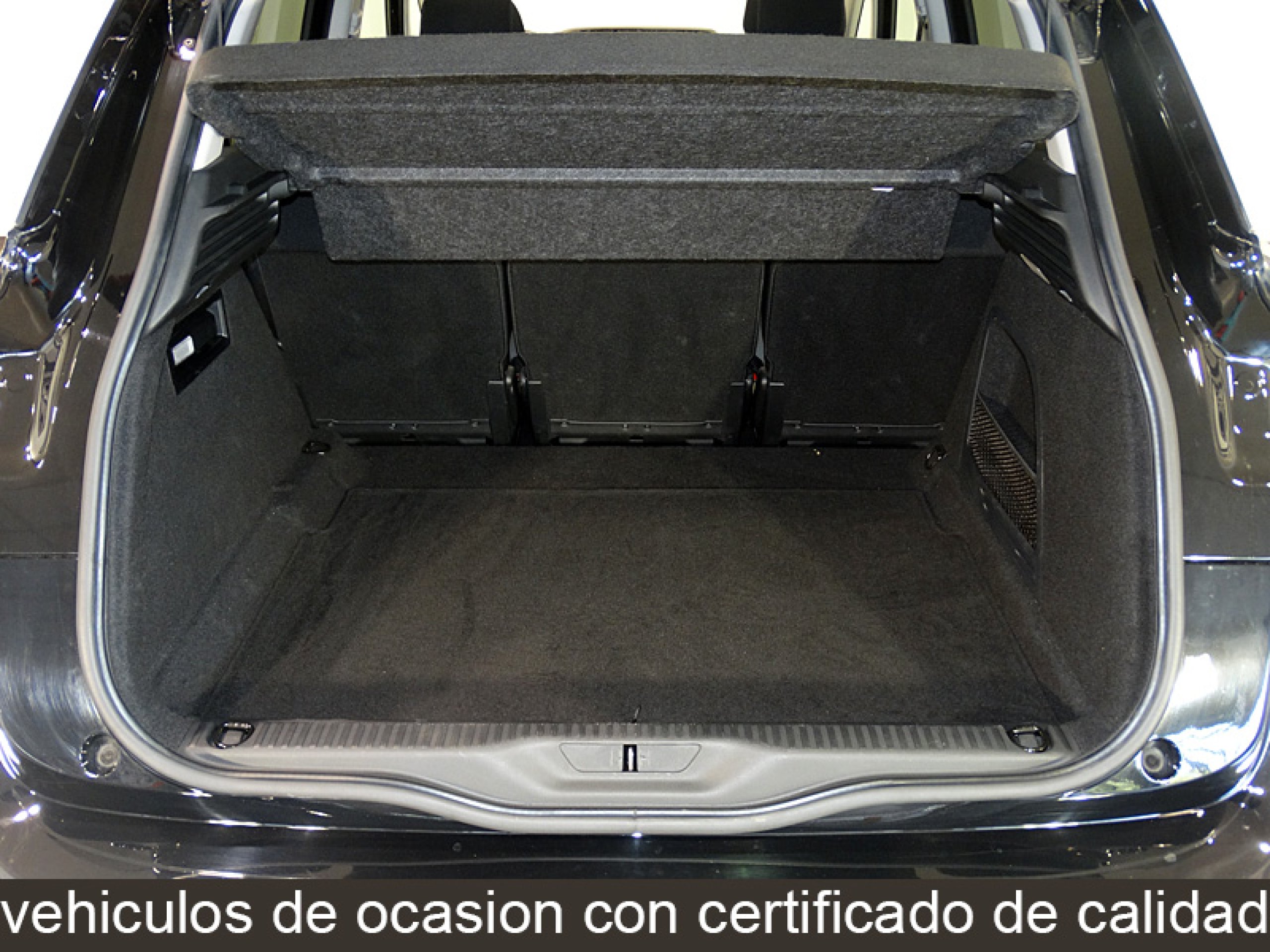 Foto Citroen C4 Picasso 10