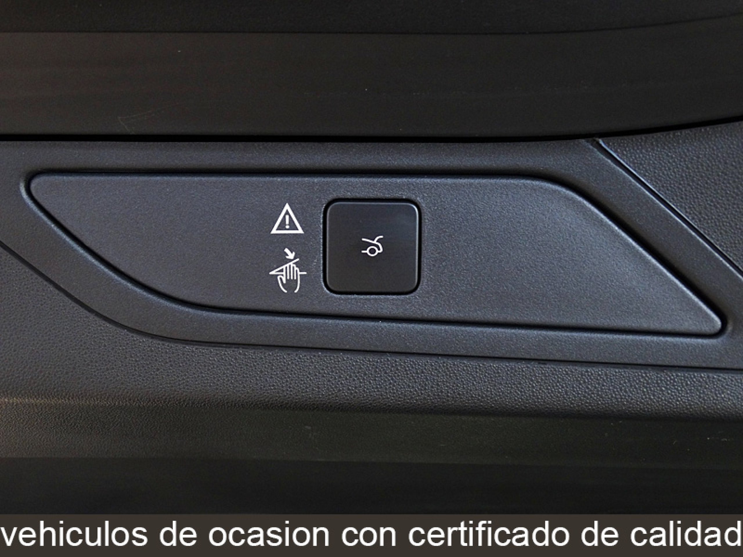 Foto Citroen C4 Picasso 11