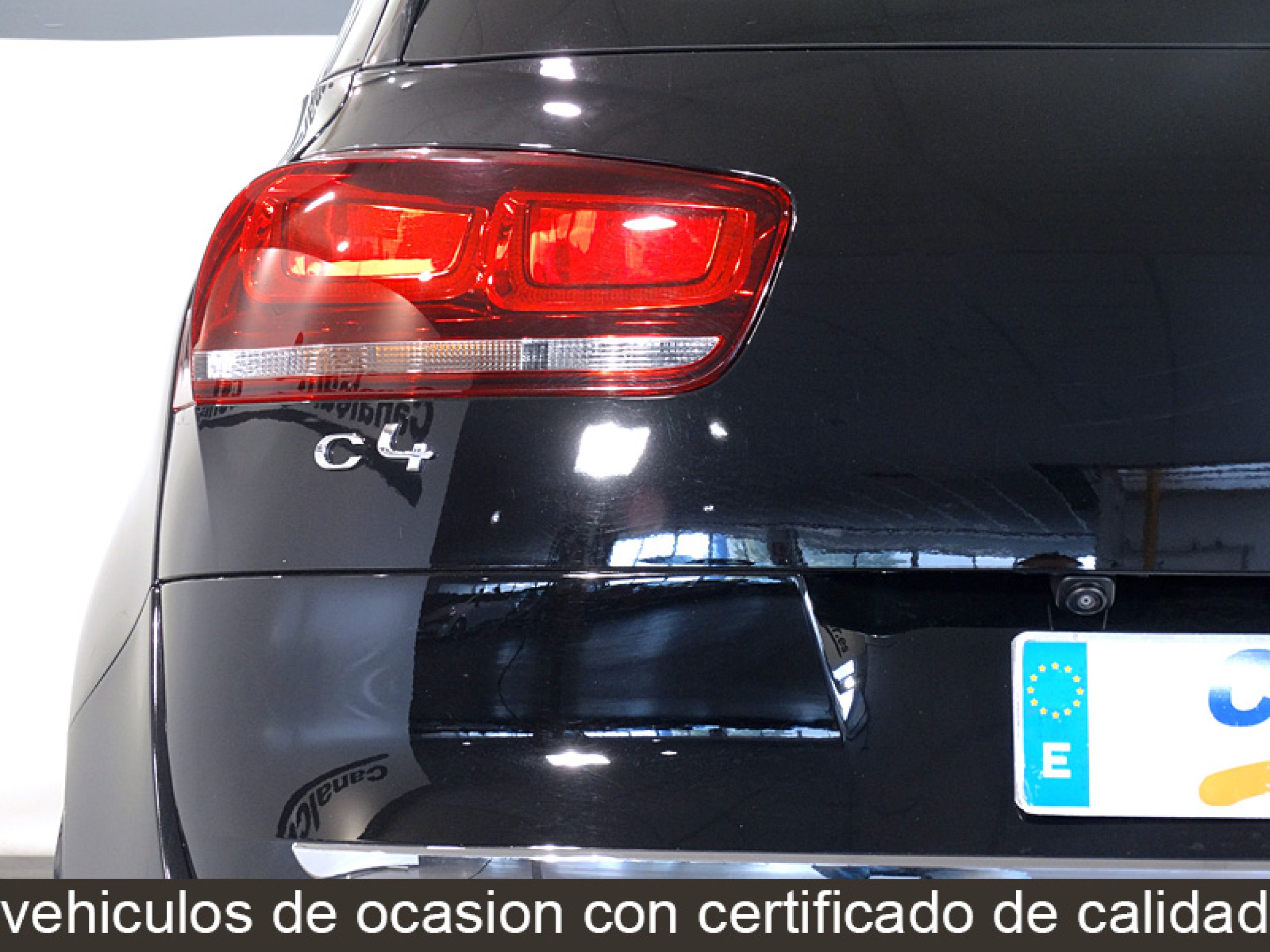 Foto Citroen C4 Picasso 12