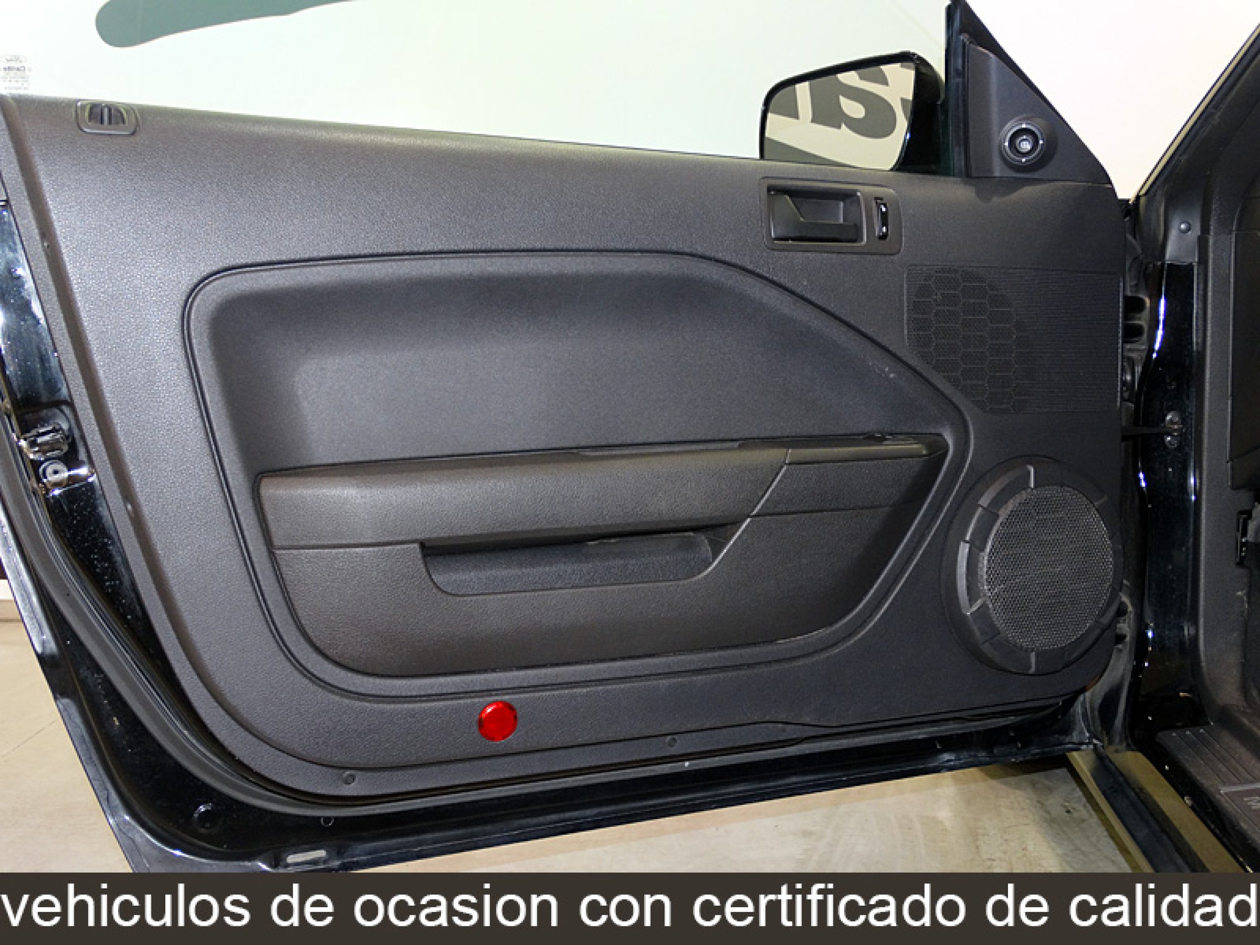 Foto Ford Mustang 20