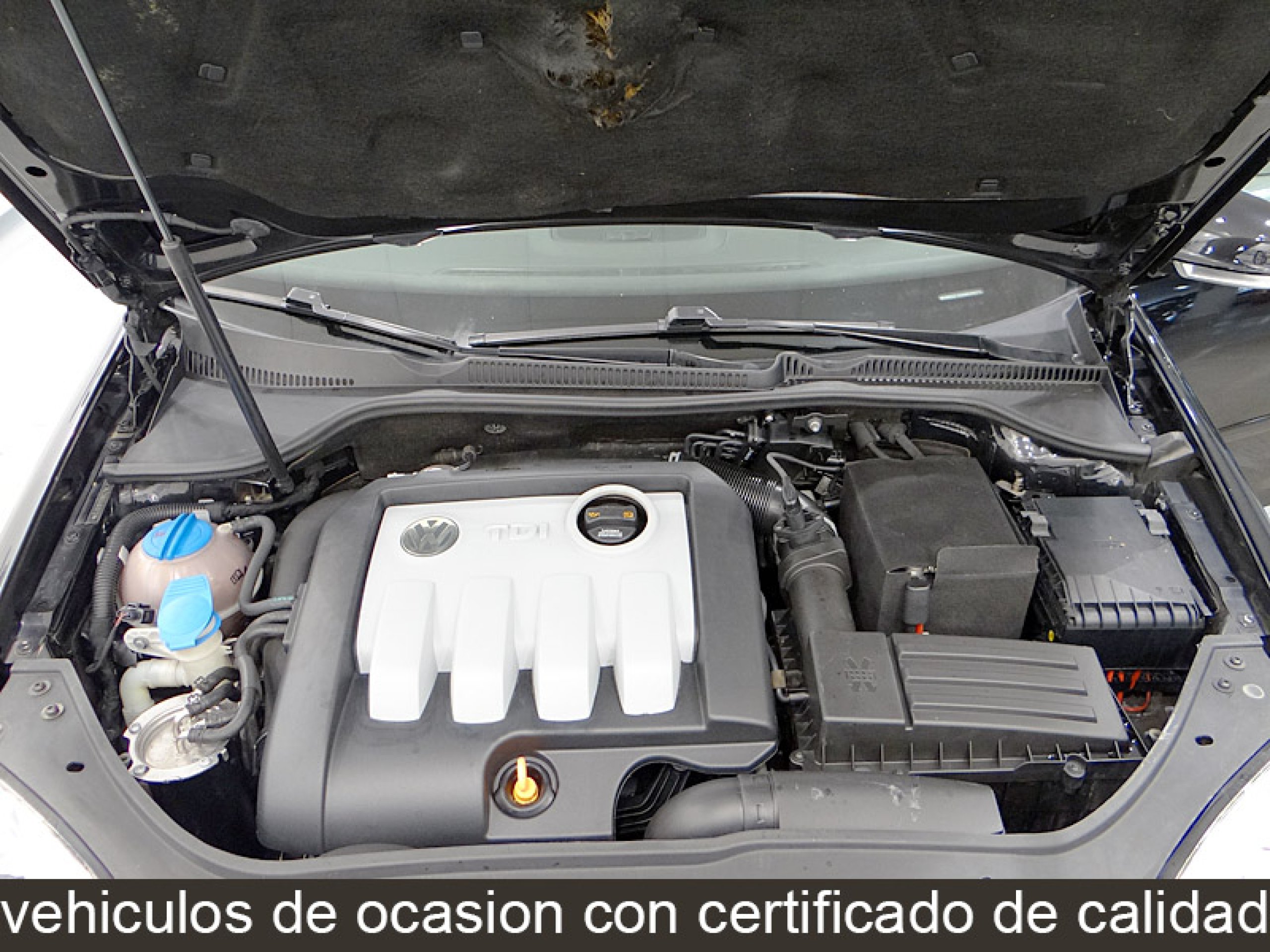 Foto Volkswagen Golf 12