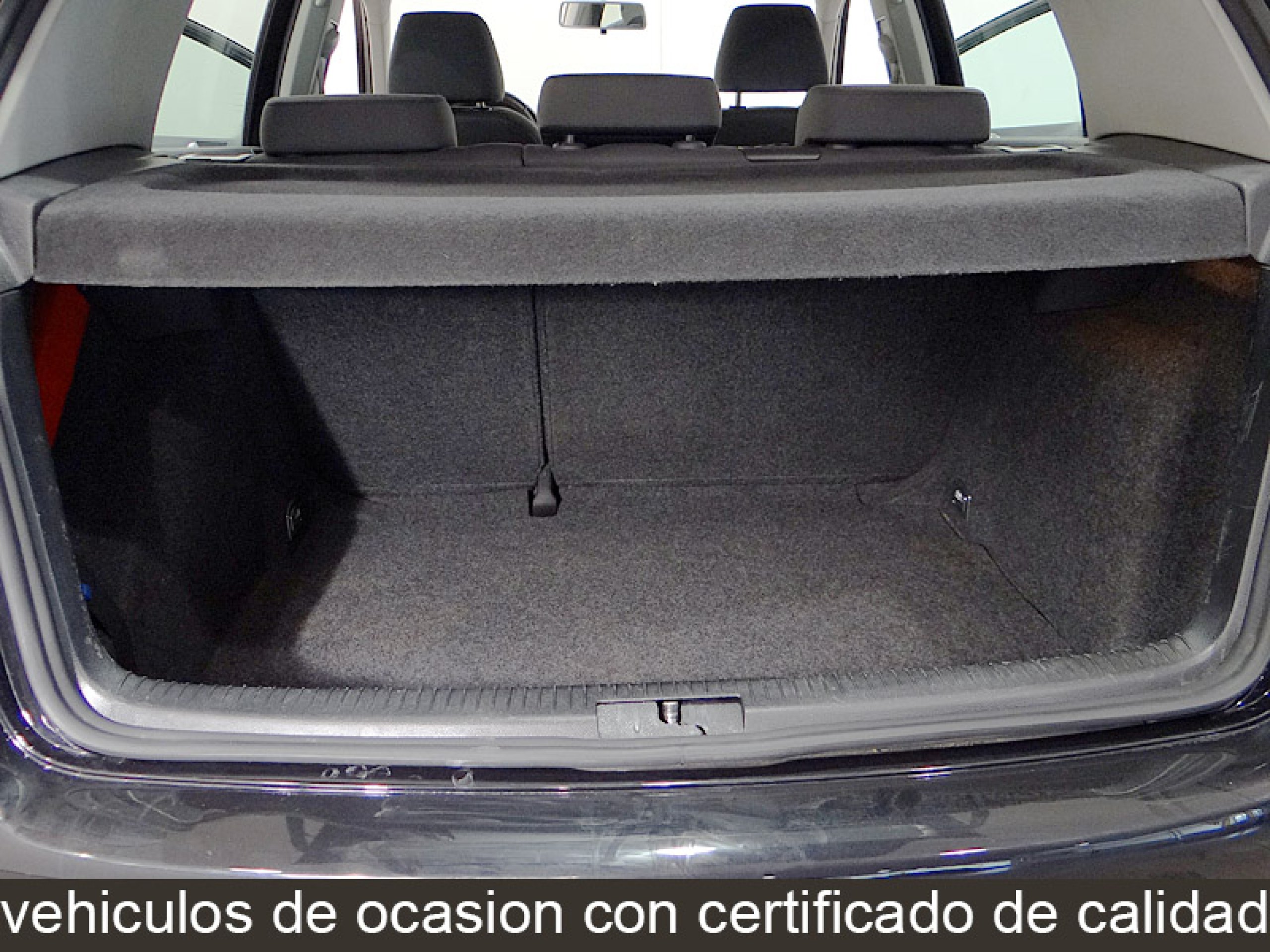 Foto Volkswagen Golf 13